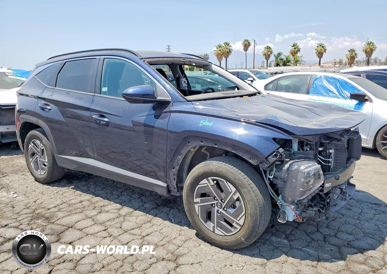 2025 Hyundai Tucson Blue VIN:KM8JBDD17SU287191 - 4