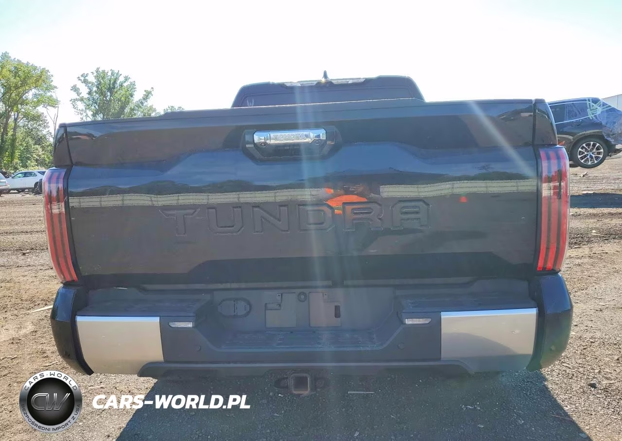 2023 Toyota Tundra Crewmax Limited VIN:5TFJA5EC7PX014237 - 6