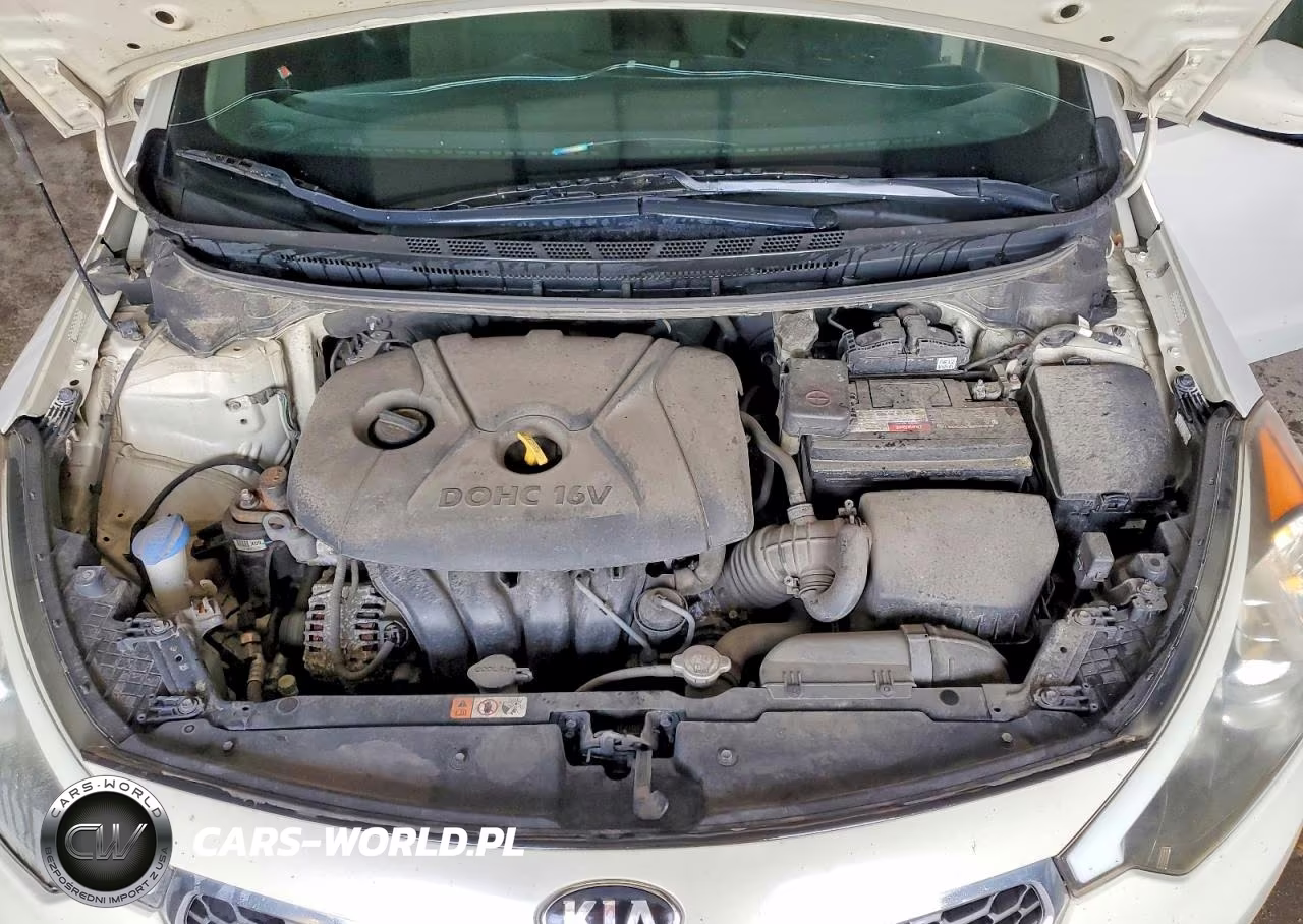 2015 Kia Forte Lx VIN:KNAFK4A68F5406356 - 11