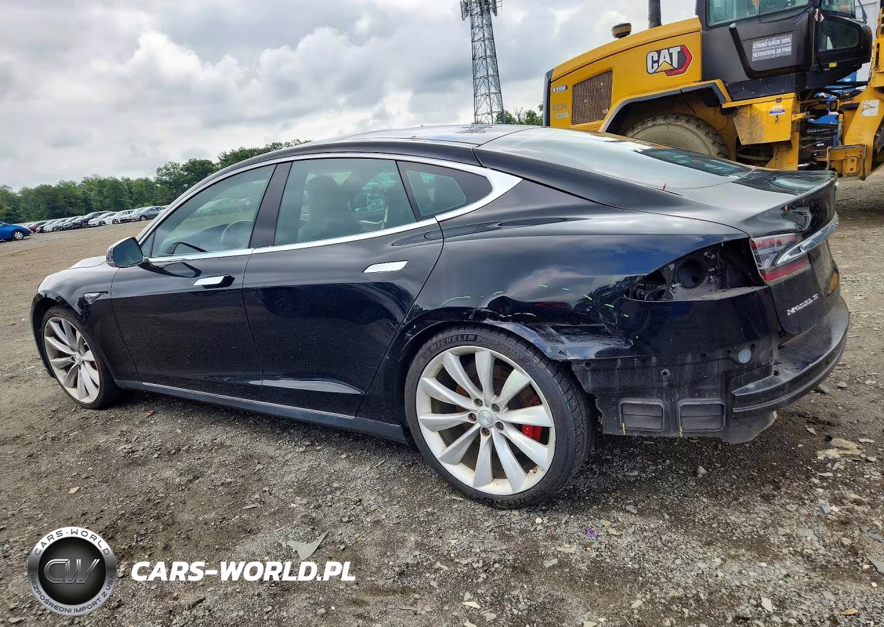 2014 Tesla Model S VIN:5YJSA1H27EFP66110 - 2