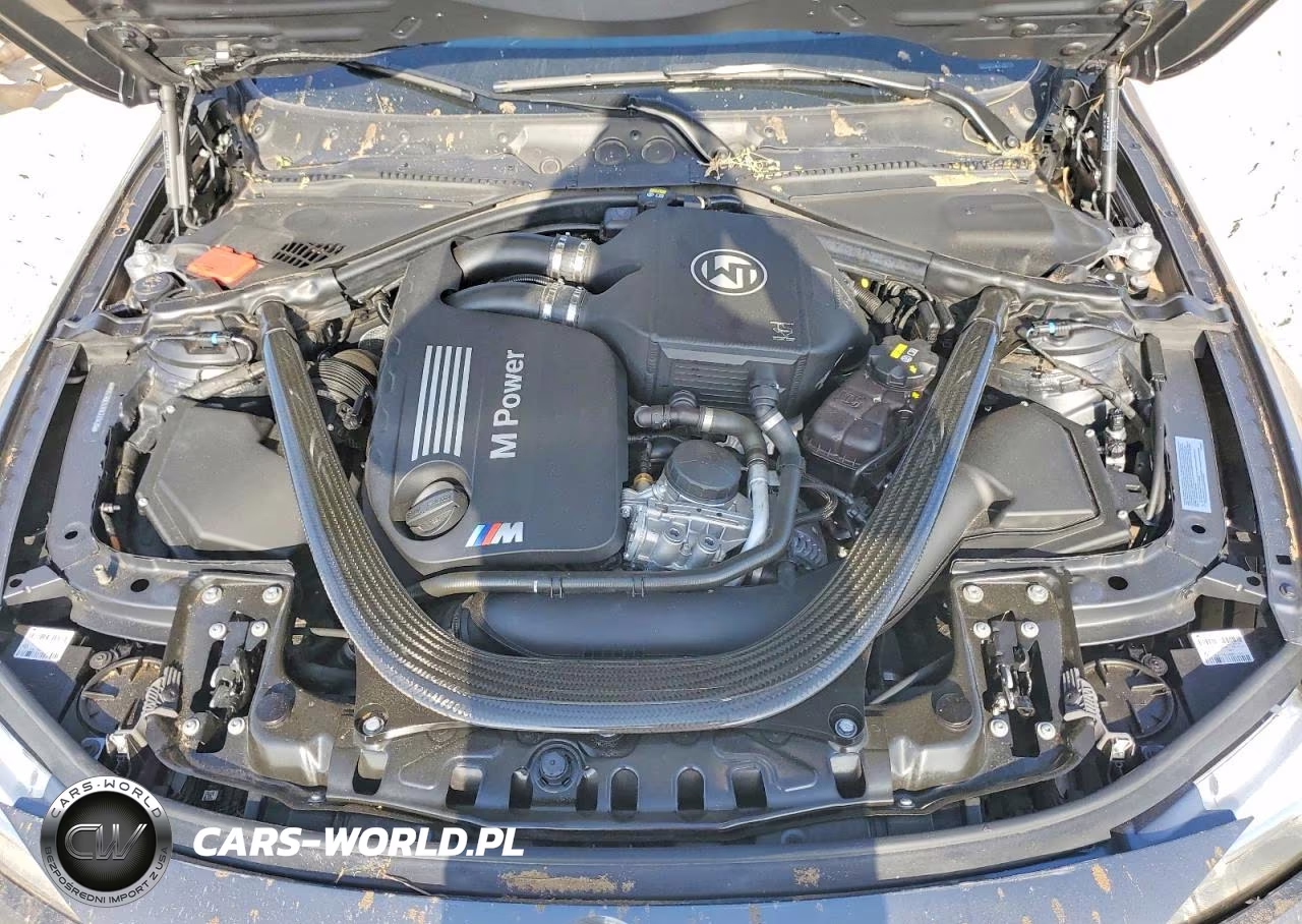 2015 BMW M4 VIN:WBS3R9C53FK333426 - 11