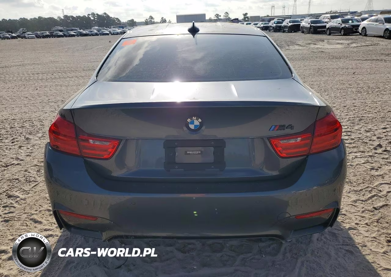 2015 BMW M4 VIN:WBS3R9C53FK333426 - 6