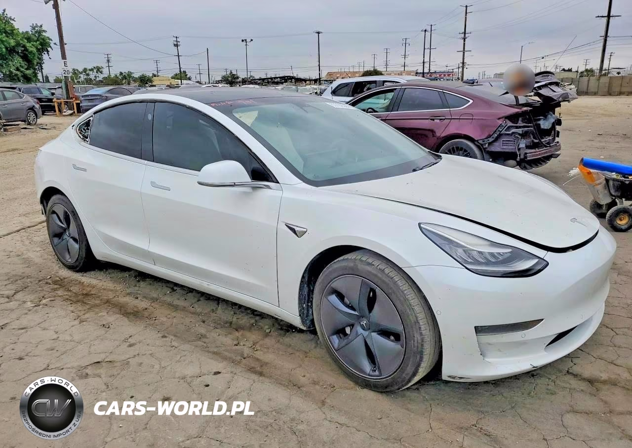 2020 Tesla Model 3 VIN:5YJ3E1EA1LF741169 - 4