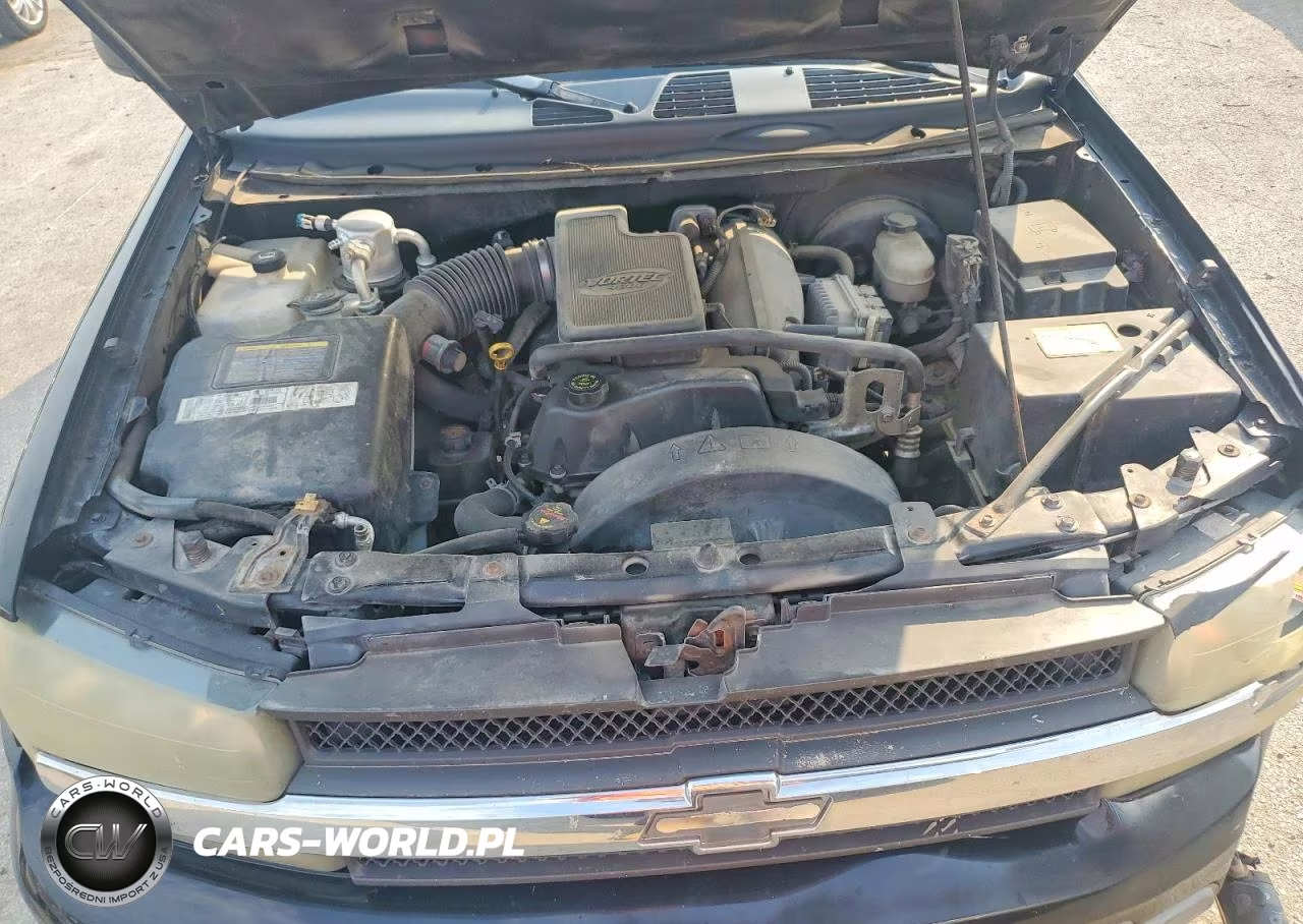2002 Chevrolet Trailblazer VIN:1GNDS13S522489461 - 11