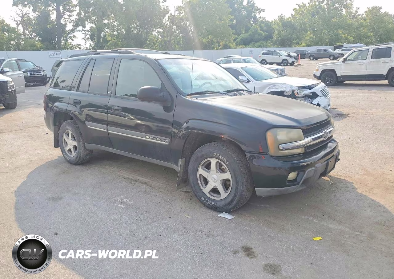 2002 Chevrolet Trailblazer VIN:1GNDS13S522489461 - 4