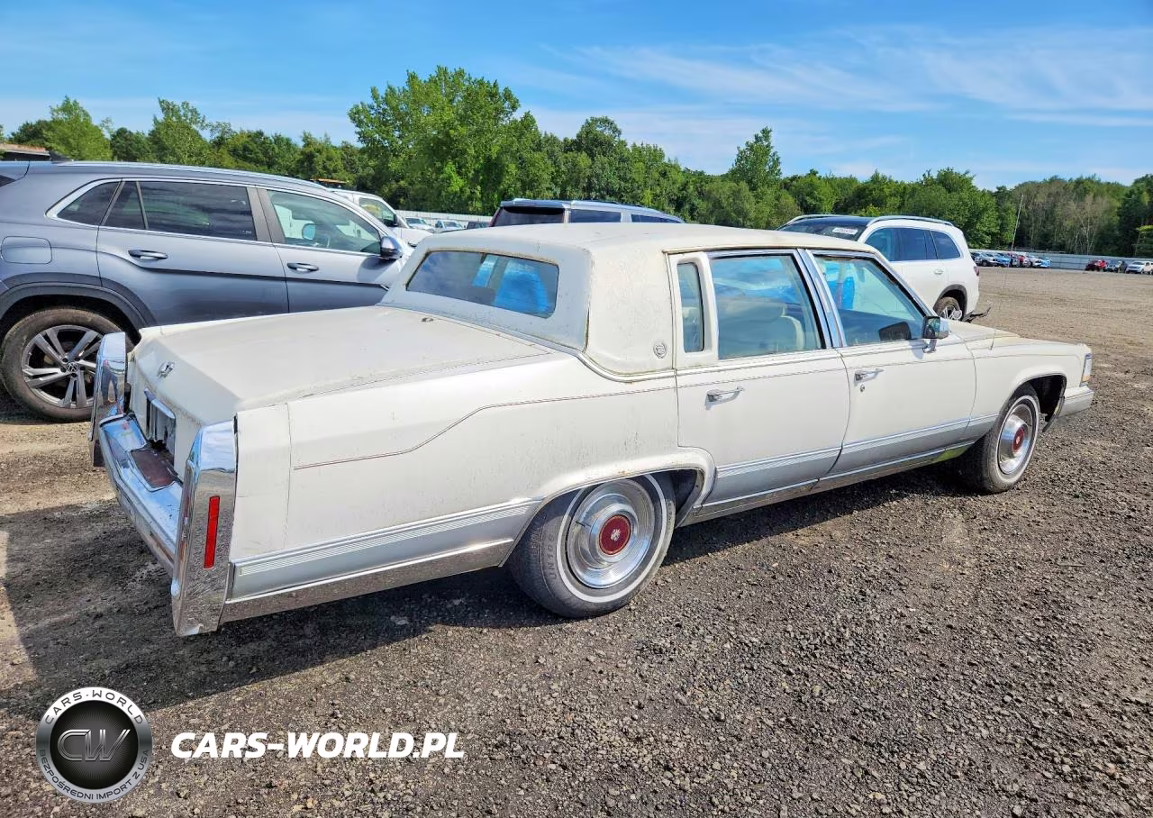 1991 Cadi Brougham VIN:1G6DW54EXMR700695 - 3