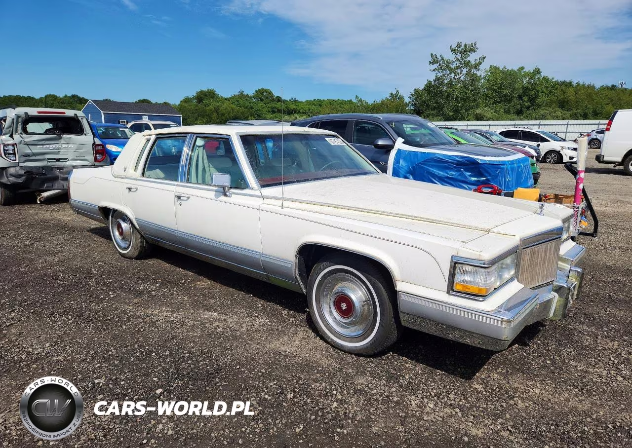 1991 Cadi Brougham VIN:1G6DW54EXMR700695 - 4
