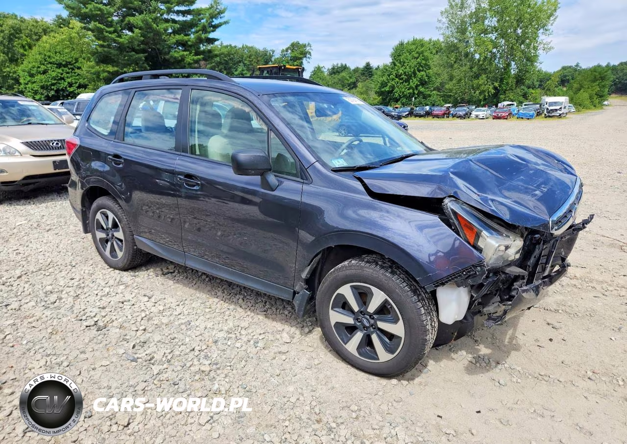 2017 Subaru Forester 2.5I VIN:JF2SJABC6HH468266 - 4