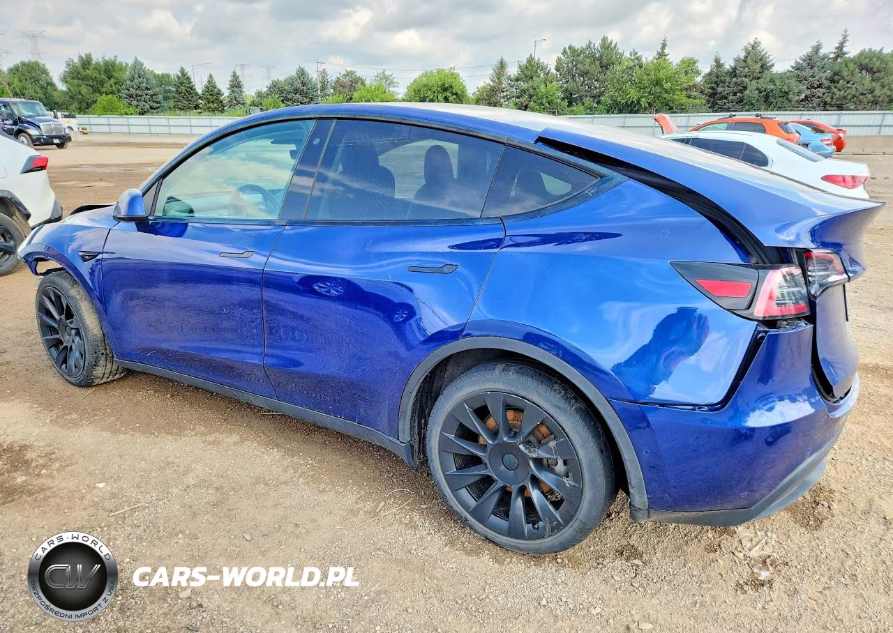 2020 Tesla Model Y VIN:5YJYGDEE7LF011206 - 2