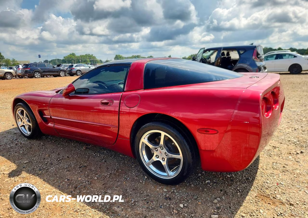 2002 Chevrolet Corvette VIN:1G1YY22G525107920 - 2