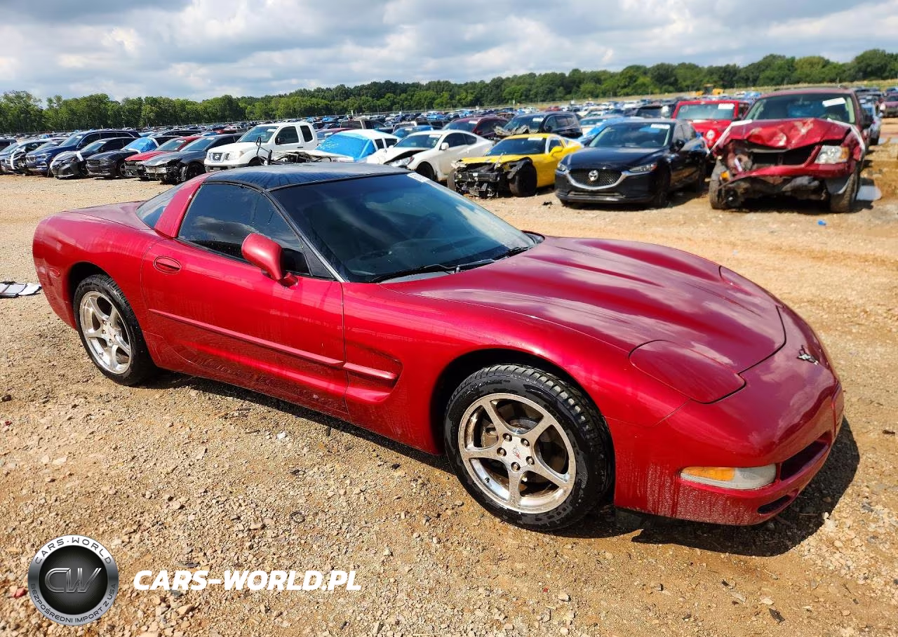 2002 Chevrolet Corvette VIN:1G1YY22G525107920 - 4
