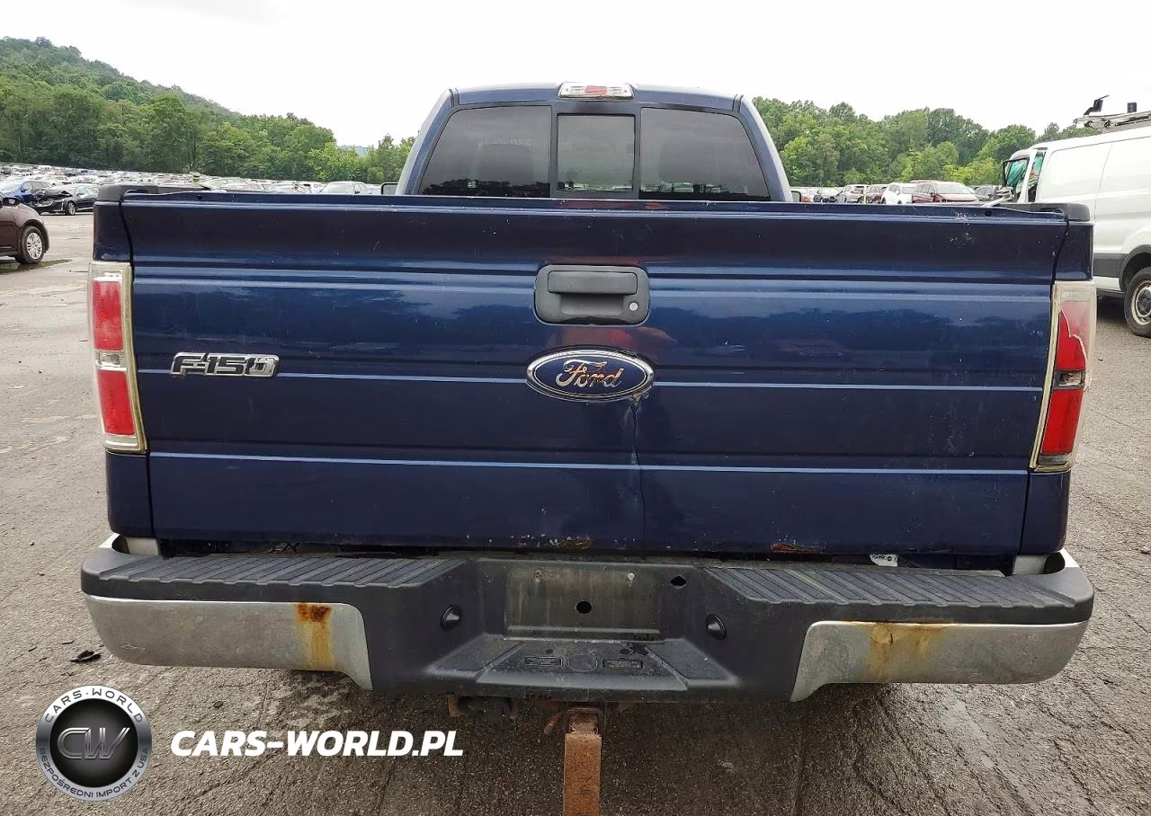 2010 Ford F150 VIN:1FTNF1E84AKA98562 - 10
