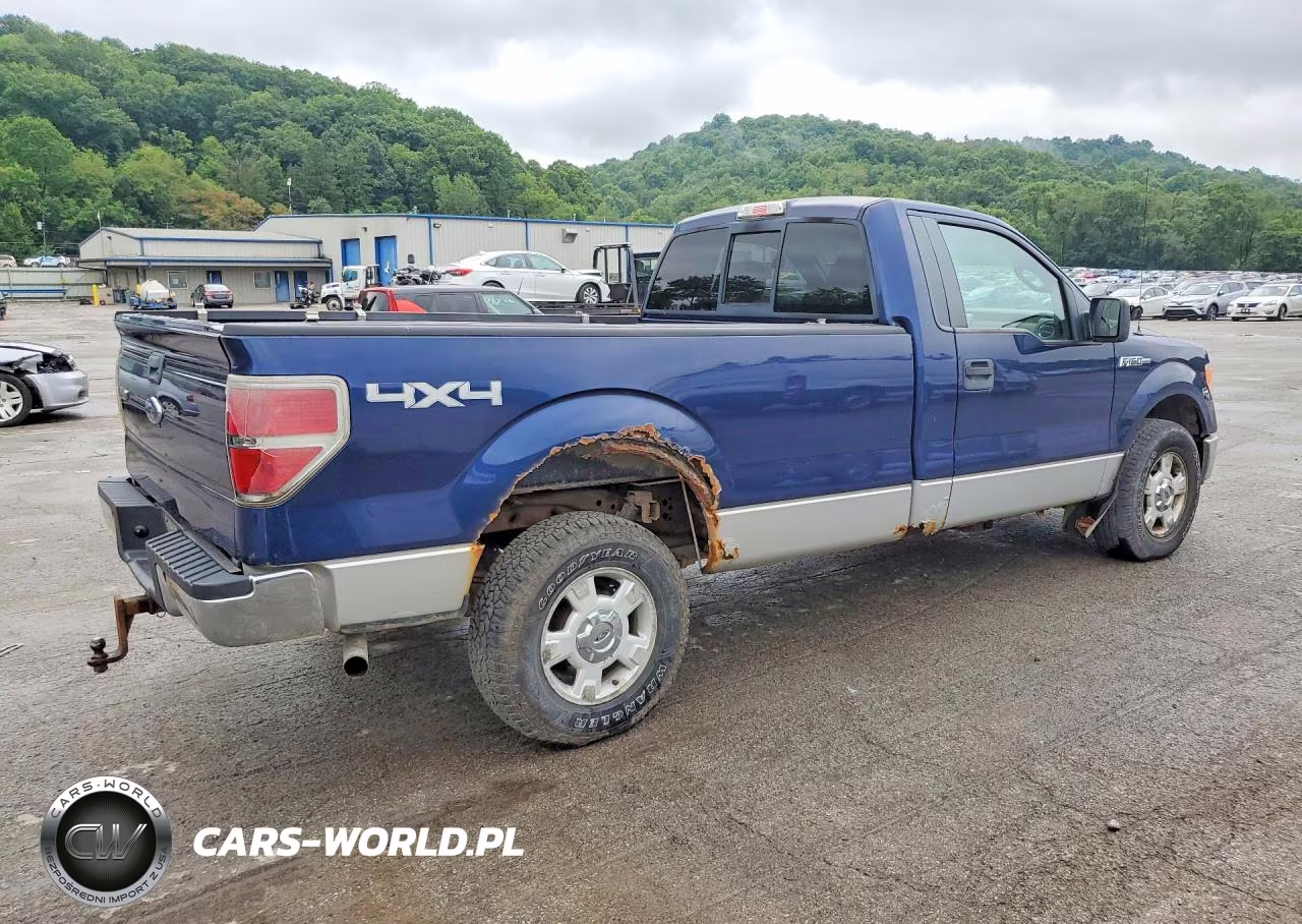 2010 Ford F150 VIN:1FTNF1E84AKA98562 - 3