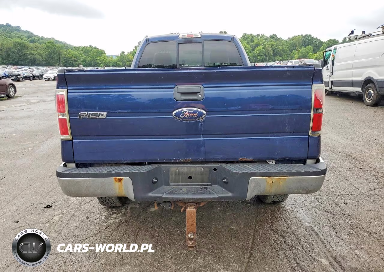 2010 Ford F150 VIN:1FTNF1E84AKA98562 - 6