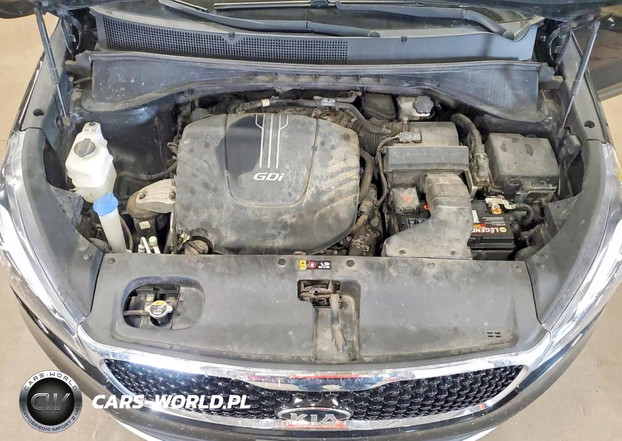 2017 Kia Sorento Ex VIN:5XYPHDA56HG234688 - 12