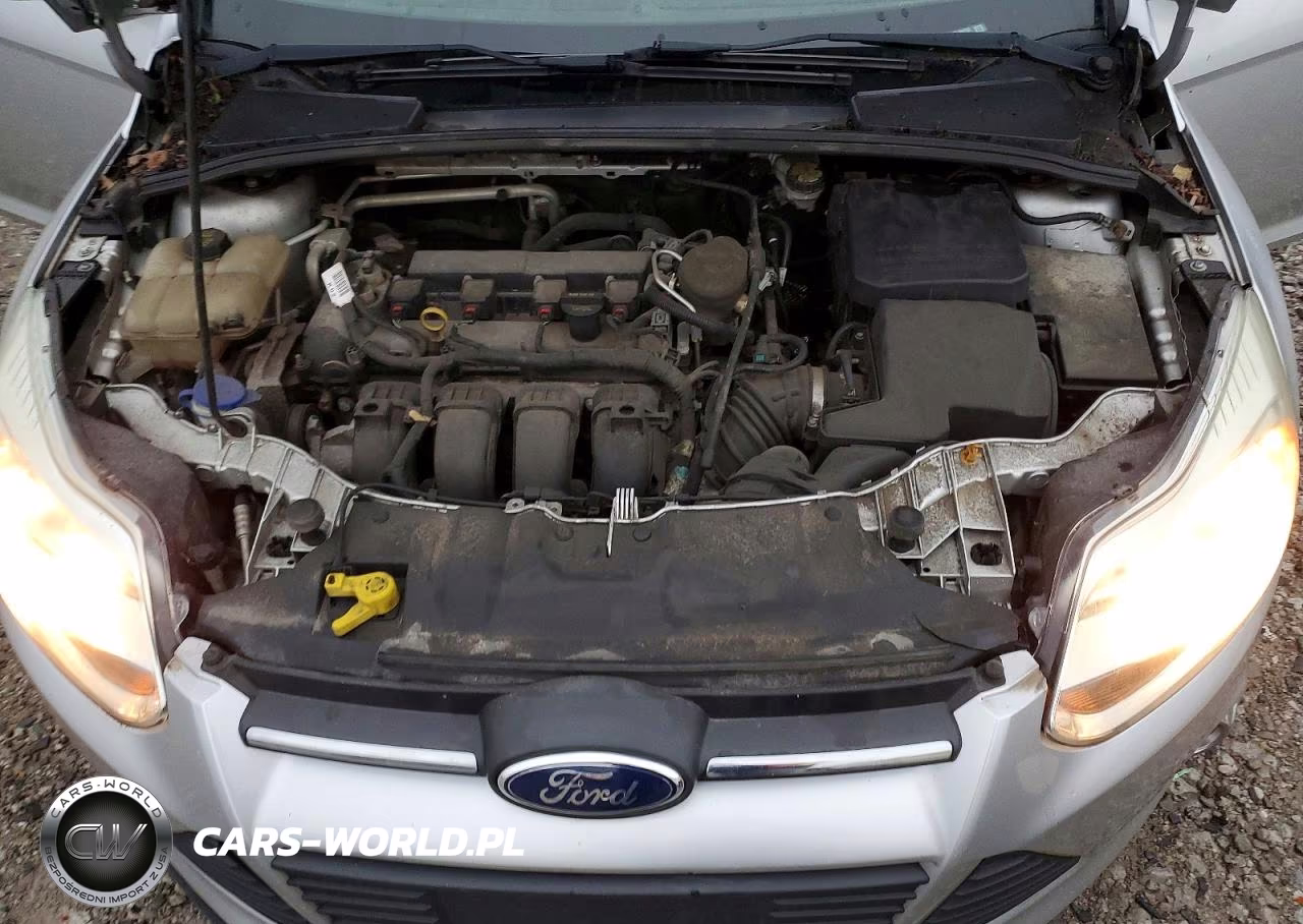 2014 Ford Focus Se VIN:1FADP3F23EL166760 - 11