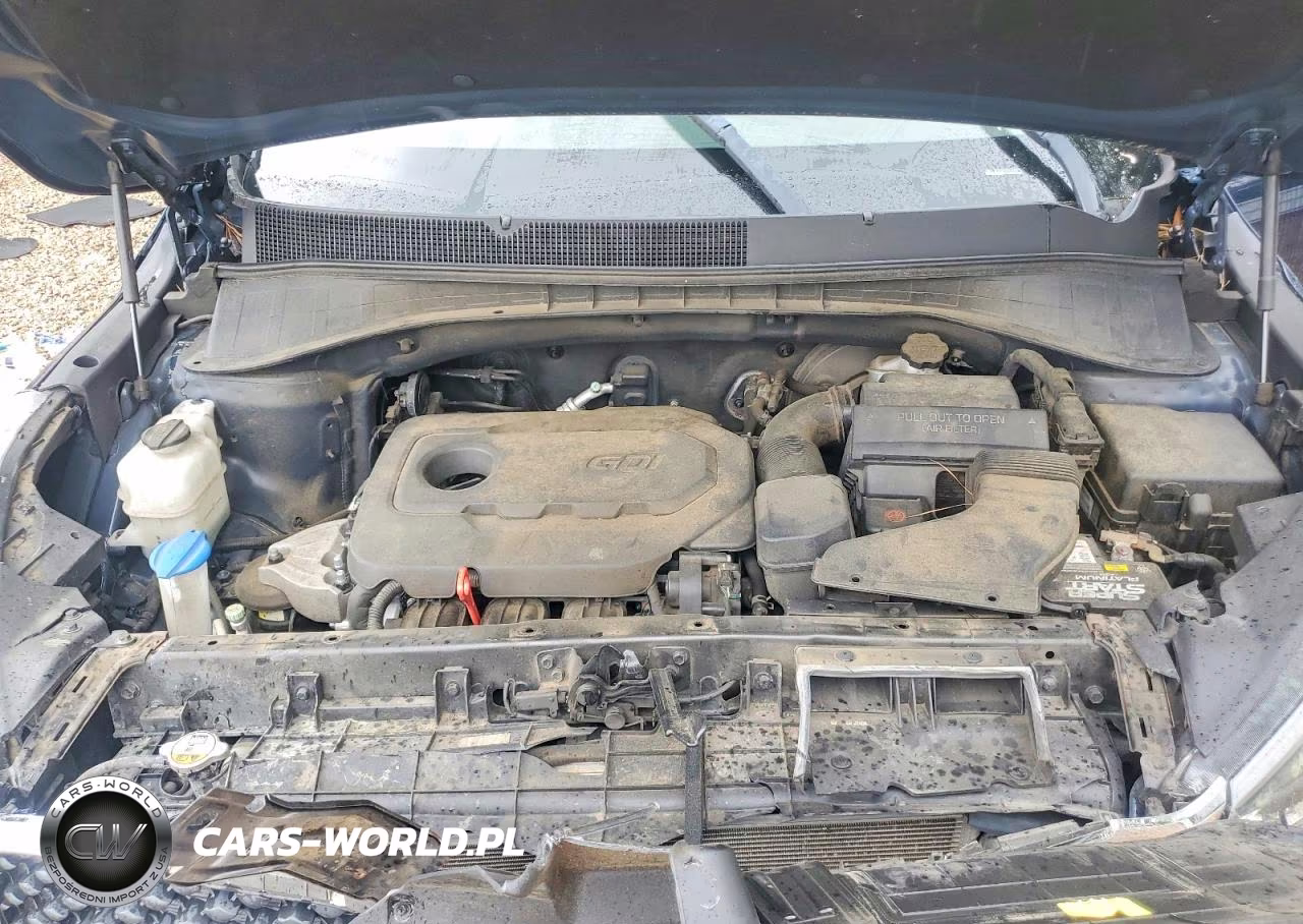 2017 Kia Sorento Lx VIN:5XYPGDA32HG270511 - 12