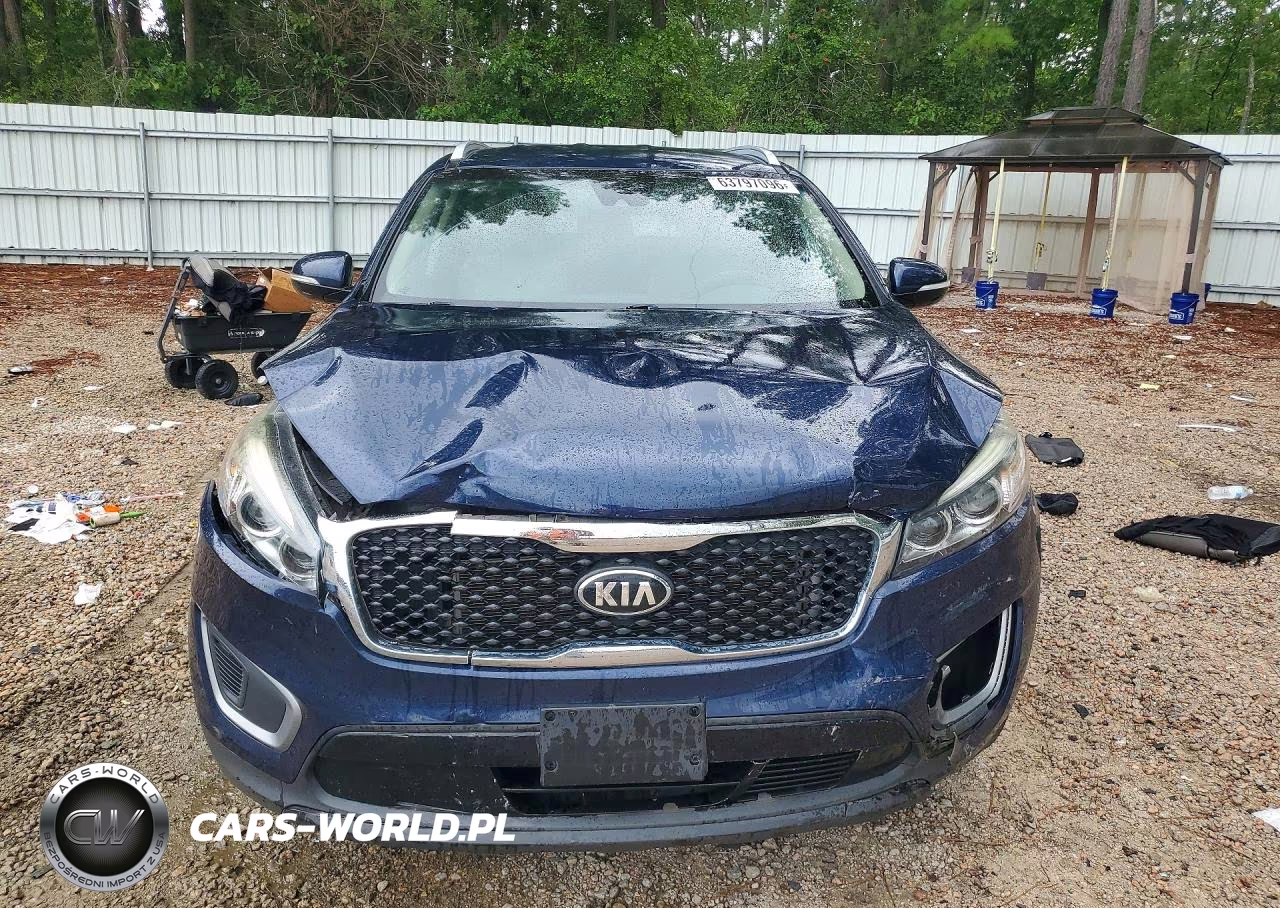 2017 Kia Sorento Lx VIN:5XYPGDA32HG270511 - 5