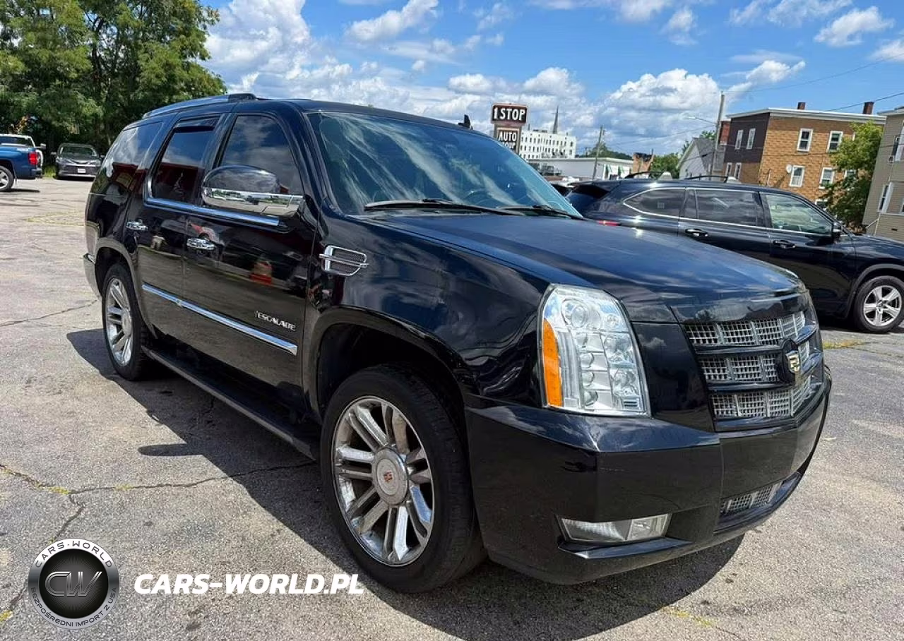2014 Cadillac Escalade Platinum VIN:1GYS4DEF4ER228078 - 4