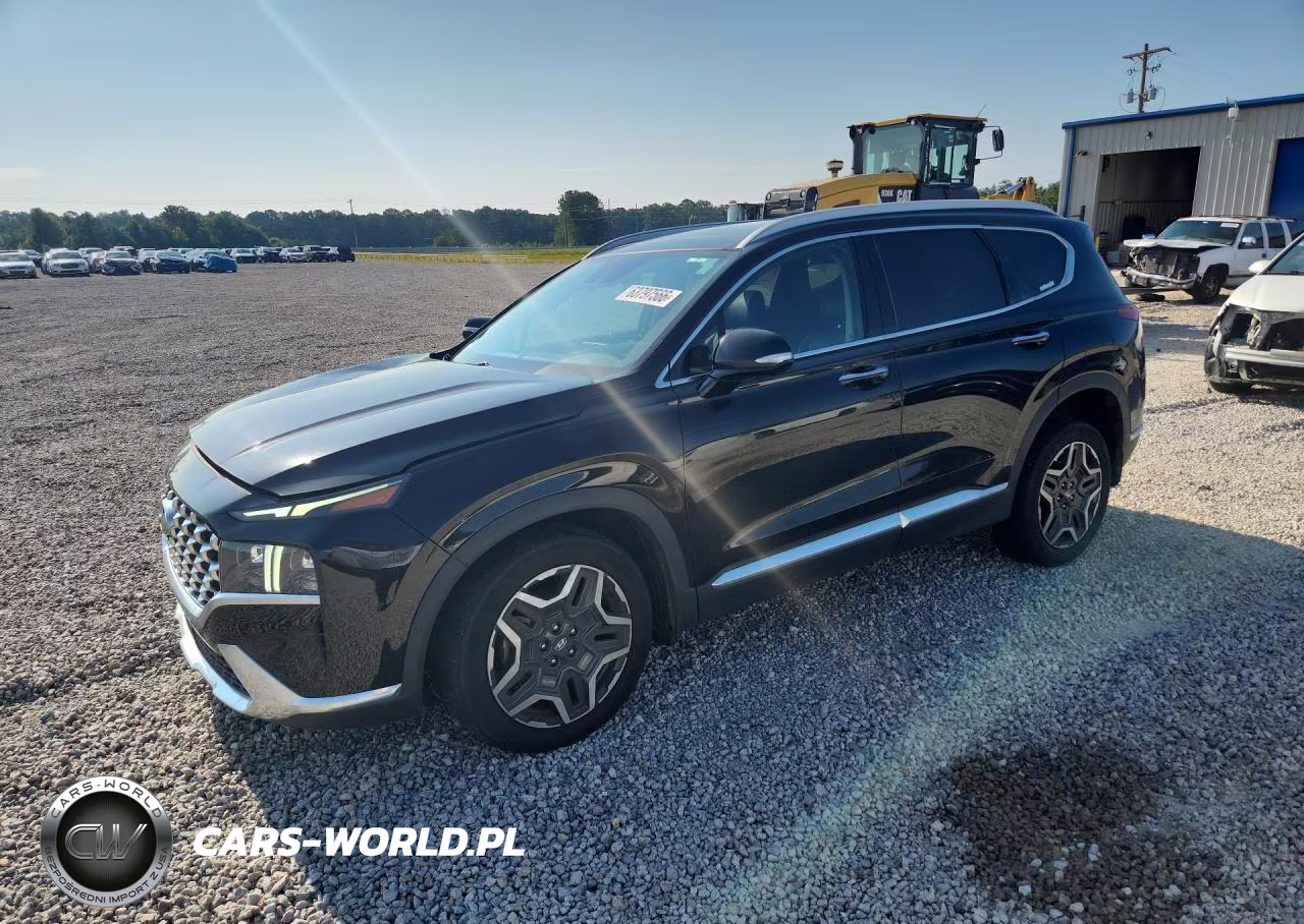 2023 Hyundai Santa Fe Limited VIN:5NMS44AL6PH521375 - 1