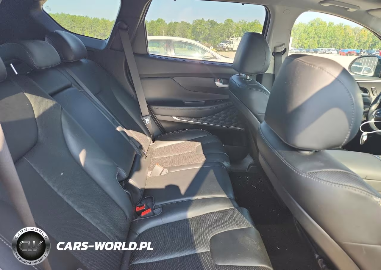 2023 Hyundai Santa Fe Limited VIN:5NMS44AL6PH521375 - 11