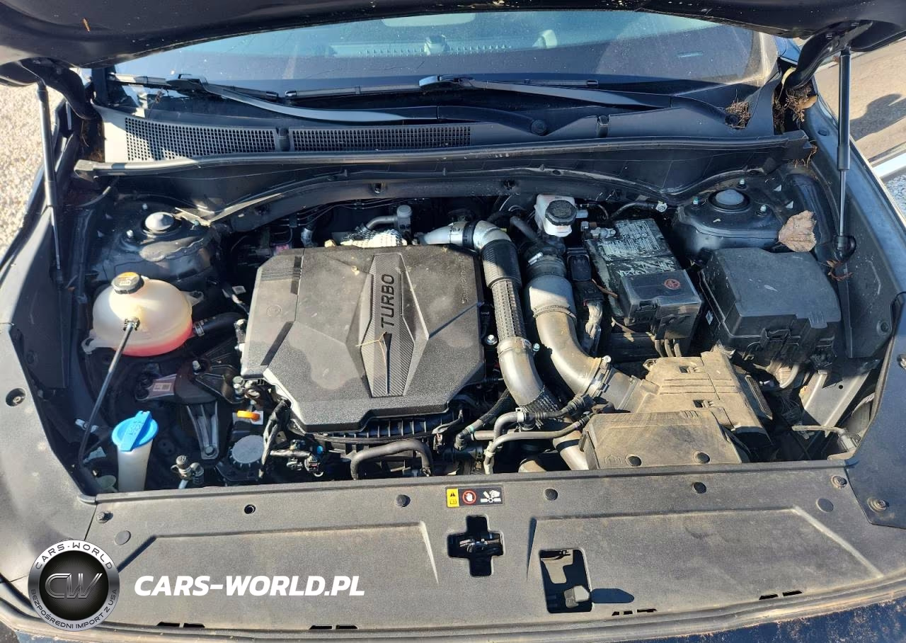 2023 Hyundai Santa Fe Limited VIN:5NMS44AL6PH521375 - 12