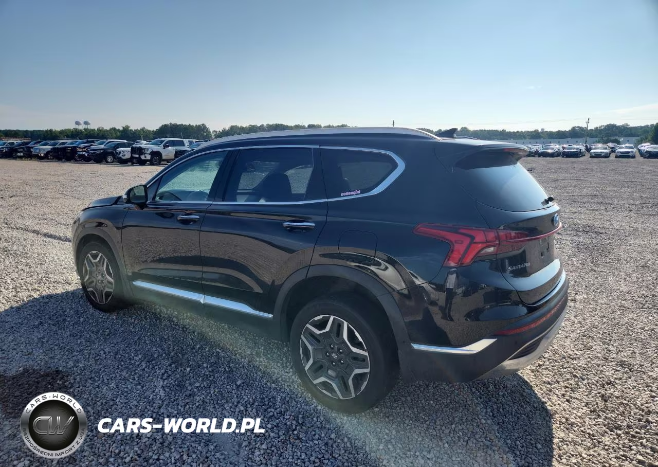 2023 Hyundai Santa Fe Limited VIN:5NMS44AL6PH521375 - 2