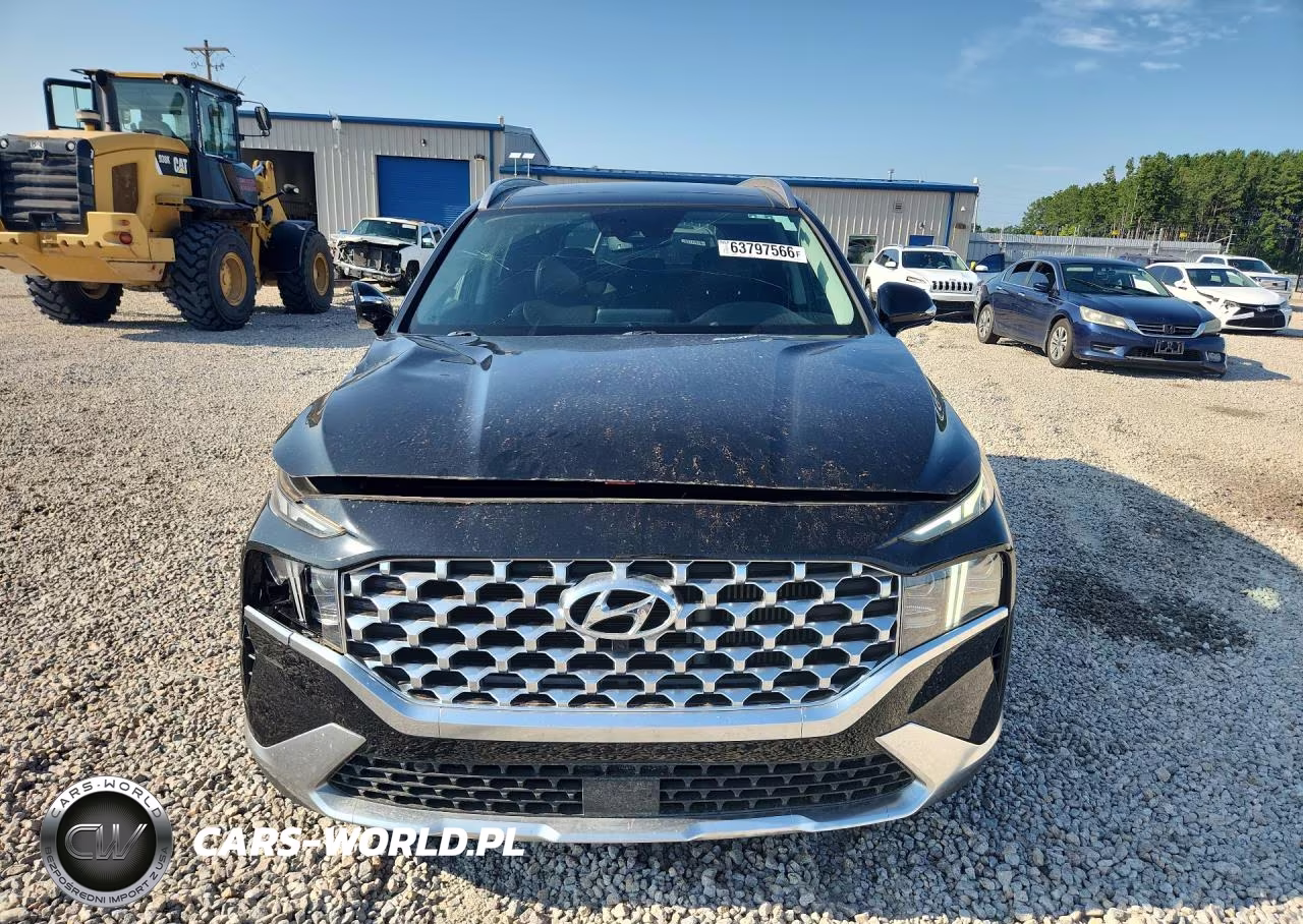 2023 Hyundai Santa Fe Limited VIN:5NMS44AL6PH521375 - 5