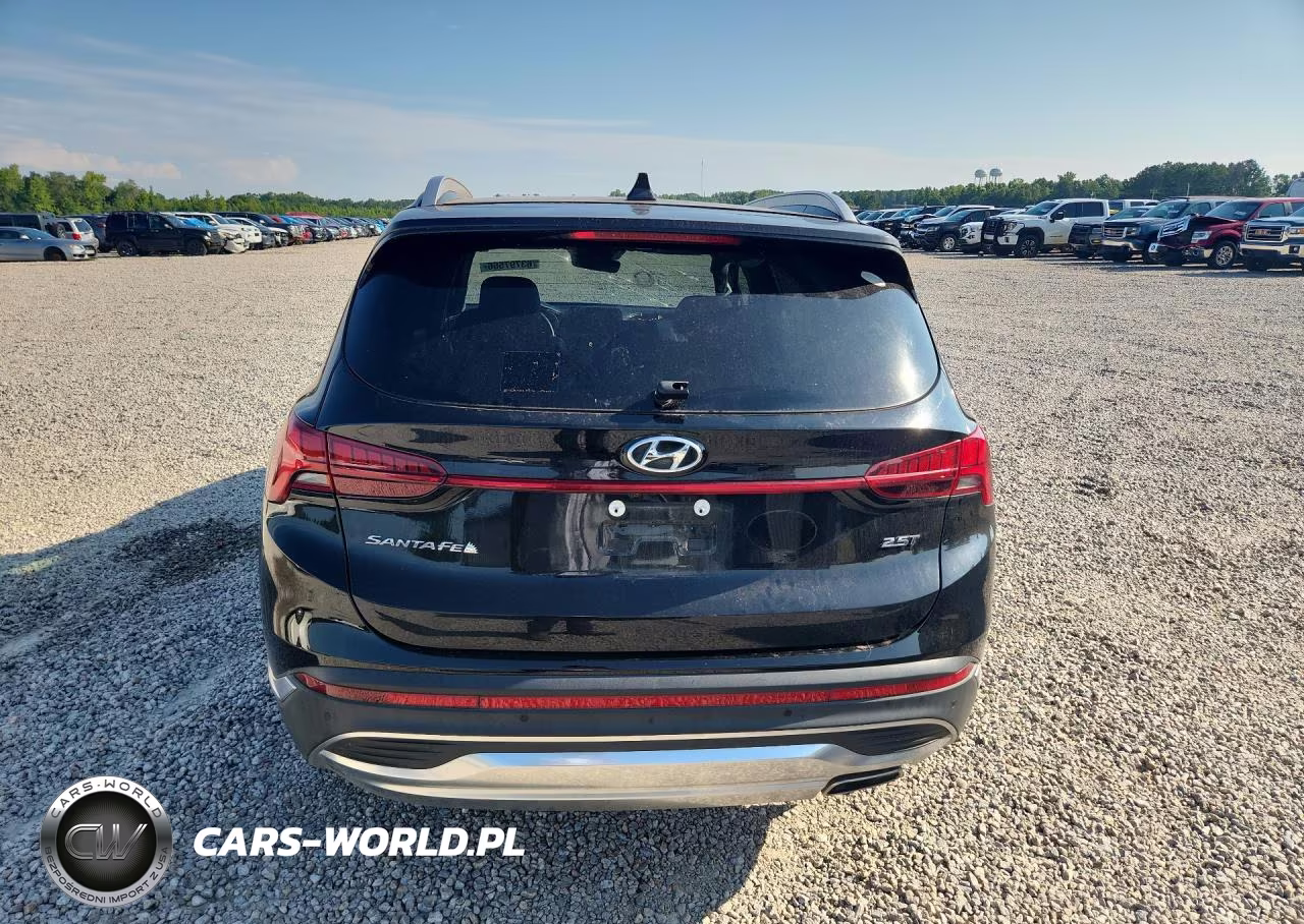 2023 Hyundai Santa Fe Limited VIN:5NMS44AL6PH521375 - 6