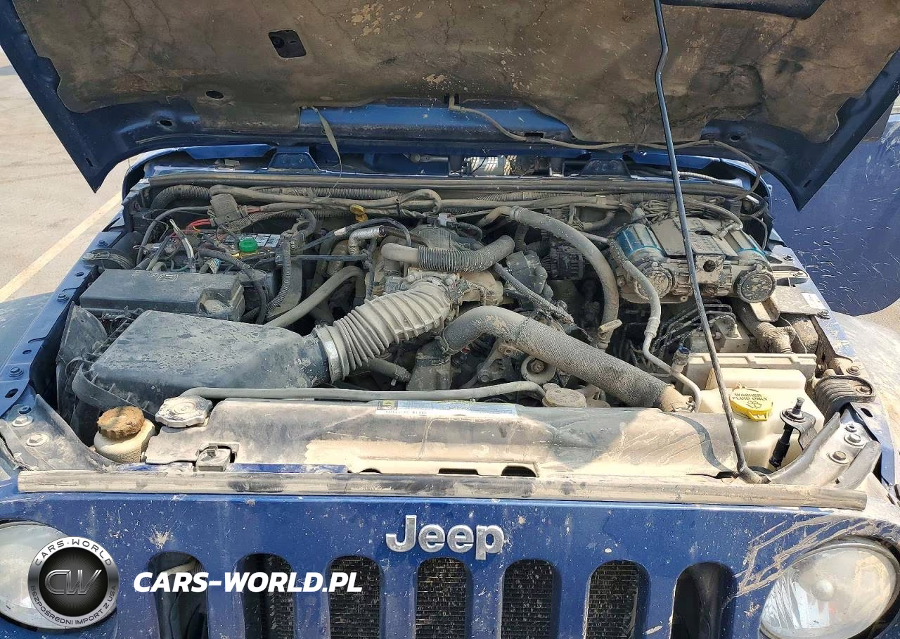 2010 Jeep Wrangler Unlimited Rubicon VIN:1J4BA6H17AL195384 - 12