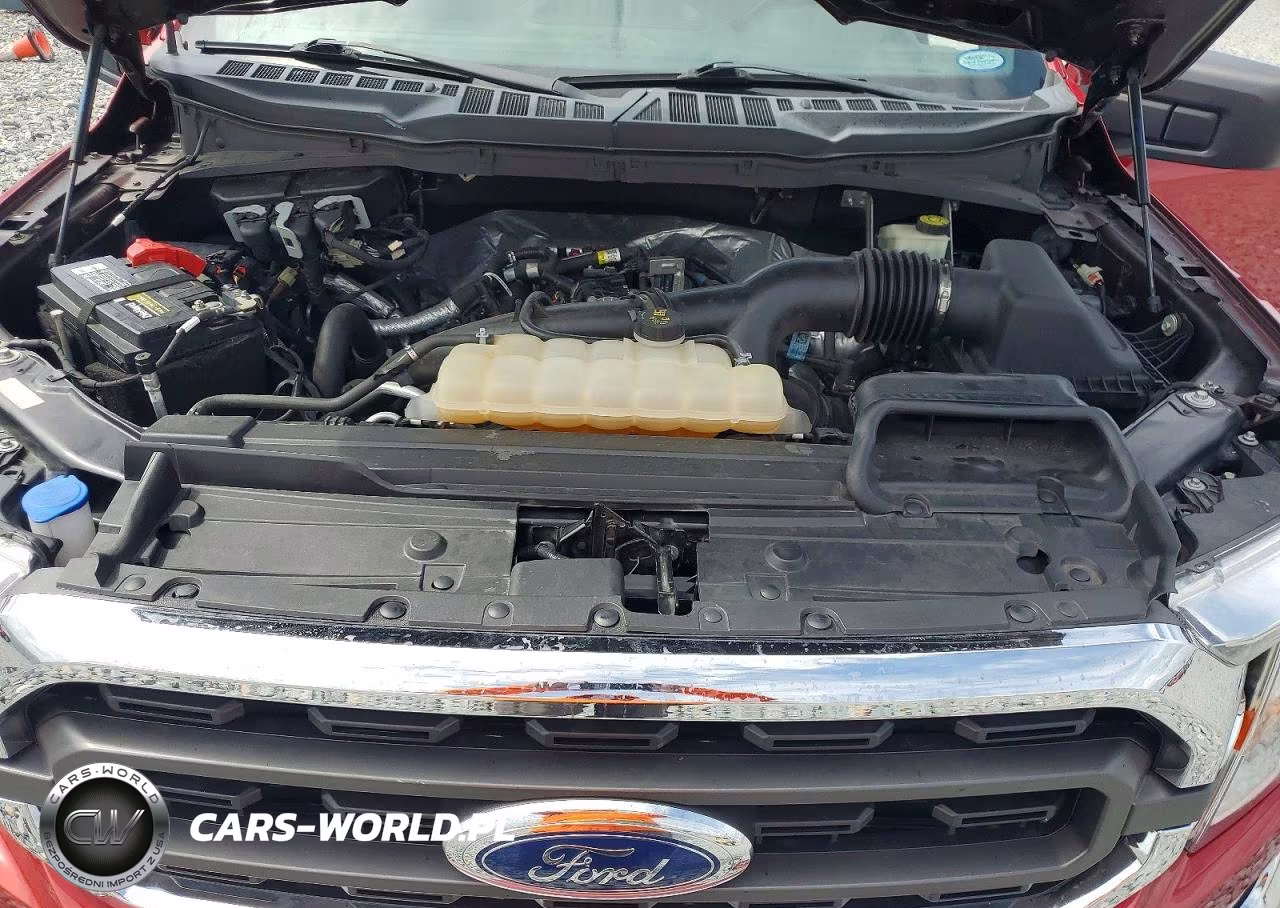 2022 Ford F150 Supercrew VIN:1FTEW1EP9NFC11623 - 11