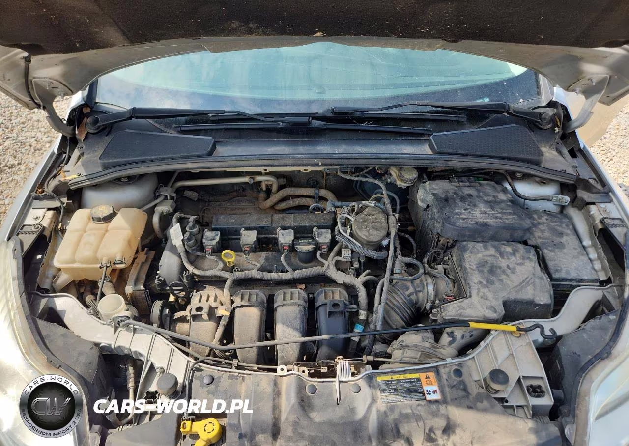 2014 Ford Focus Se VIN:1FADP3F27EL121305 - 11