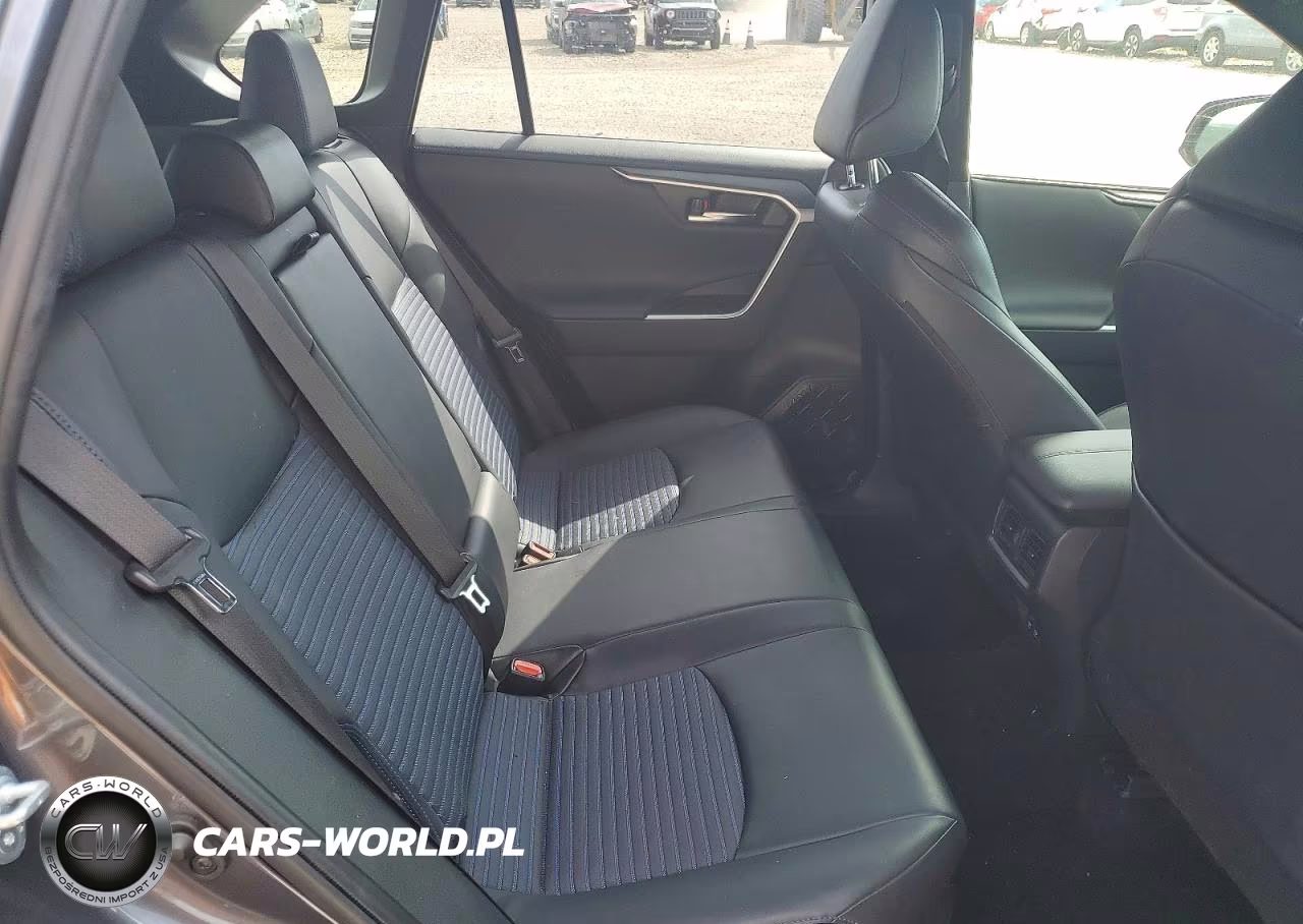 2019 Toyota Rav4 Xse VIN:JTMEWRFV8KD515660 - 10
