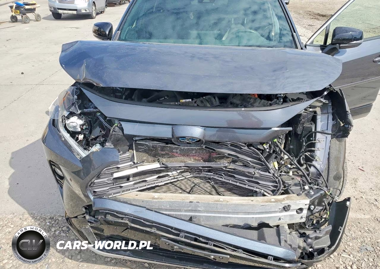 2019 Toyota Rav4 Xse VIN:JTMEWRFV8KD515660 - 11