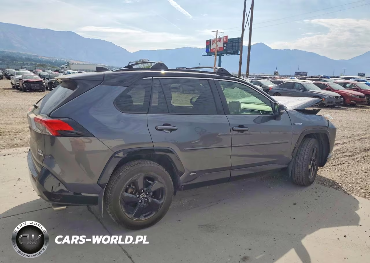 2019 Toyota Rav4 Xse VIN:JTMEWRFV8KD515660 - 3