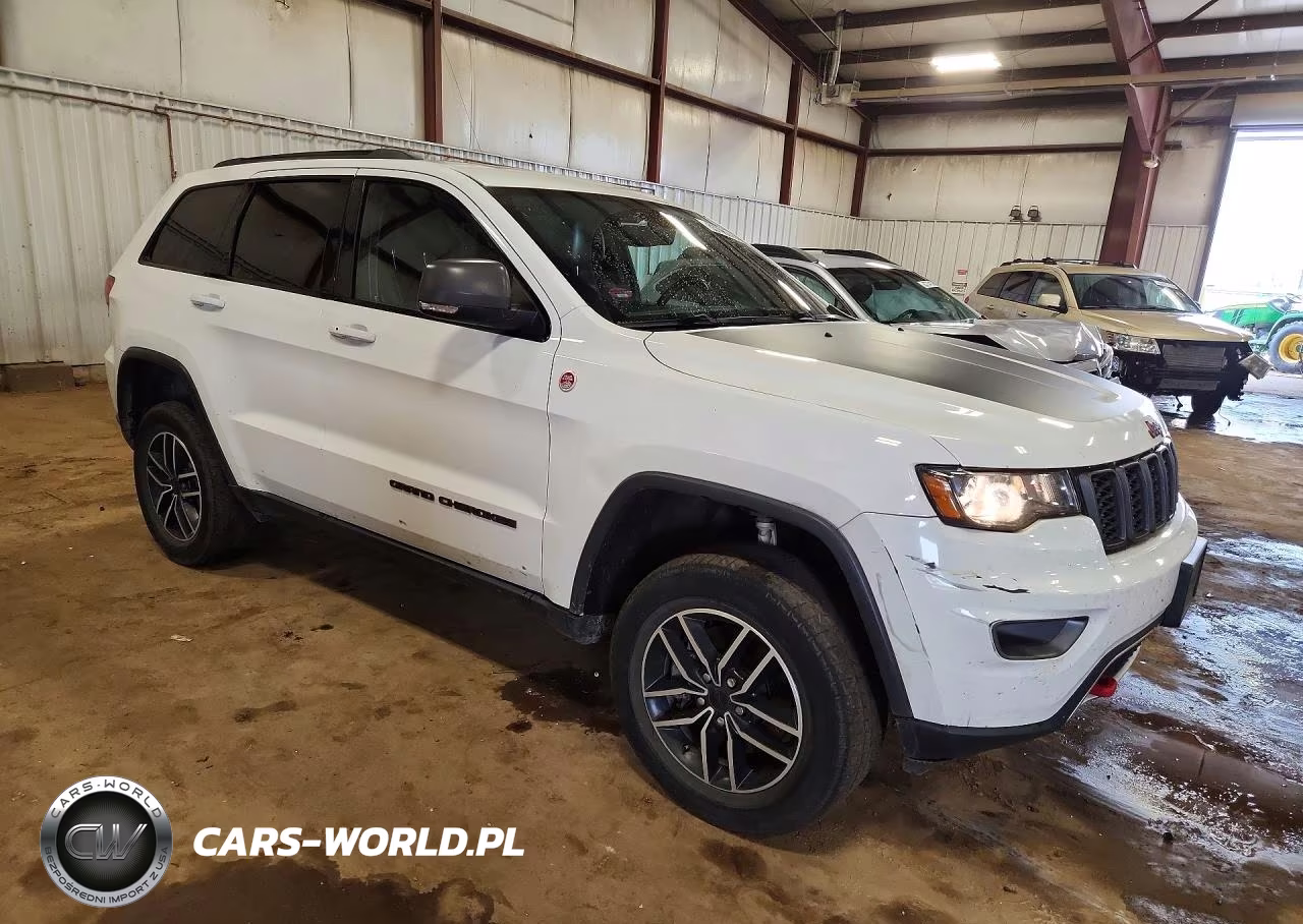 2020 Jeep Grand Cherokee Trailhawk VIN:1C4RJFLT8LC135761 - 4