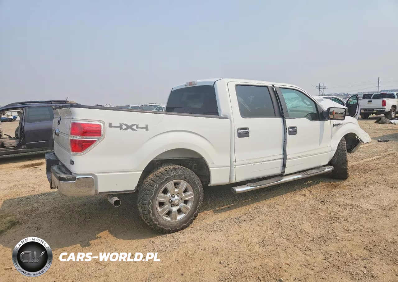 2009 Ford F150 Supercrew VIN:1FTPW14V49FA44702 - 3