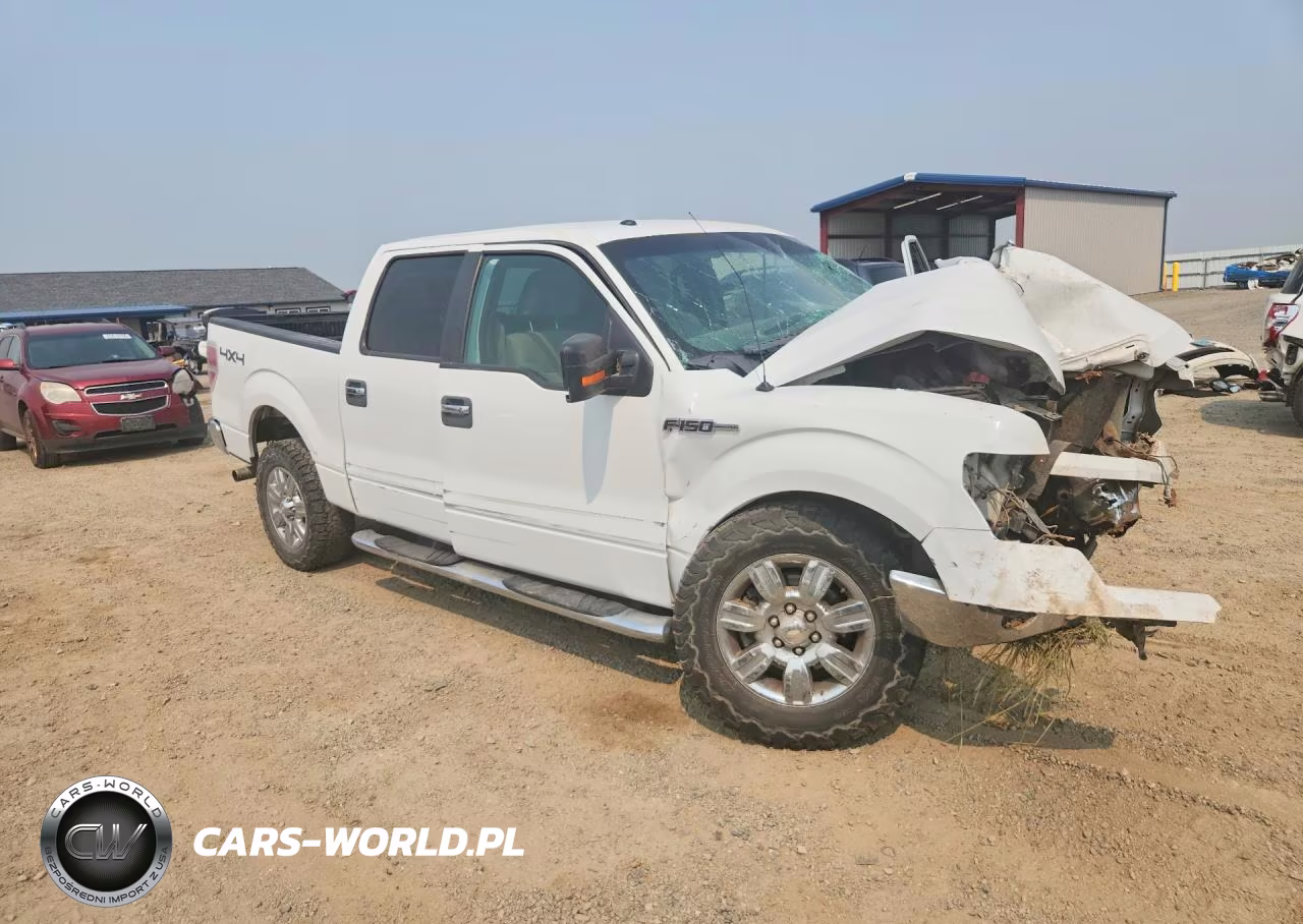 2009 Ford F150 Supercrew VIN:1FTPW14V49FA44702 - 4