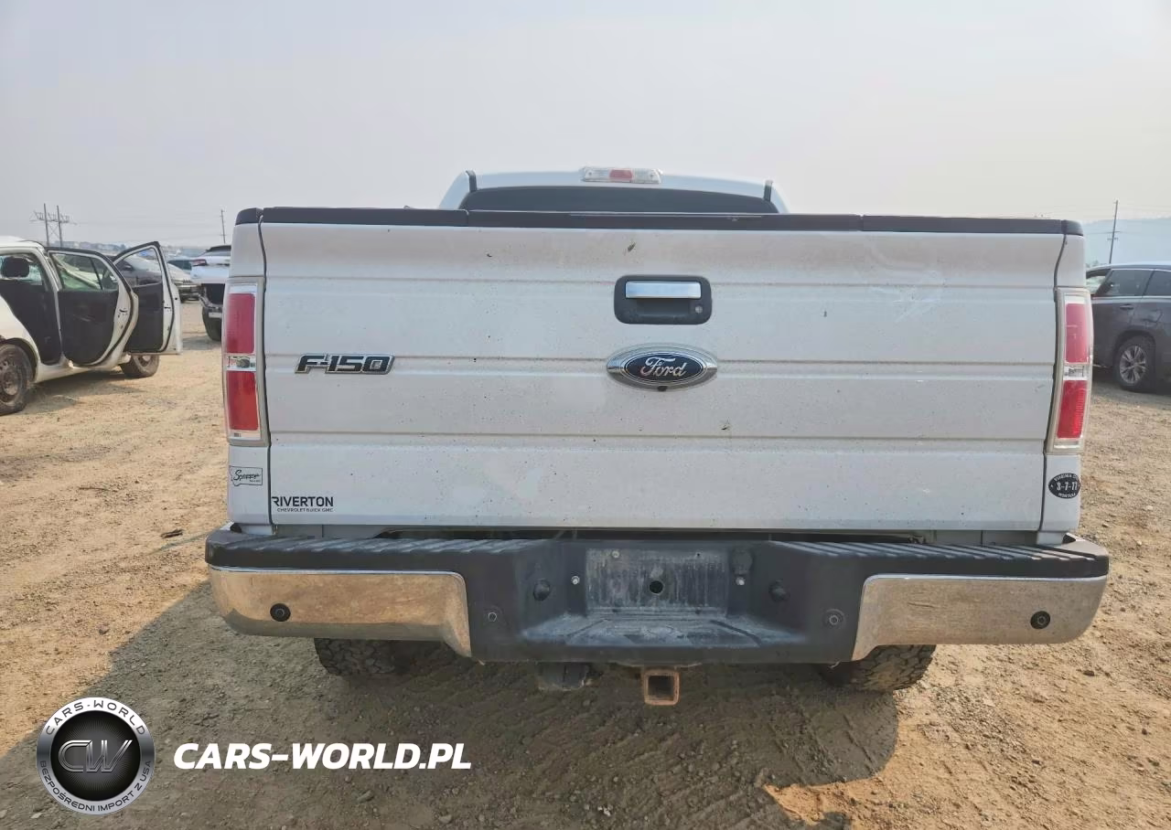 2009 Ford F150 Supercrew VIN:1FTPW14V49FA44702 - 6