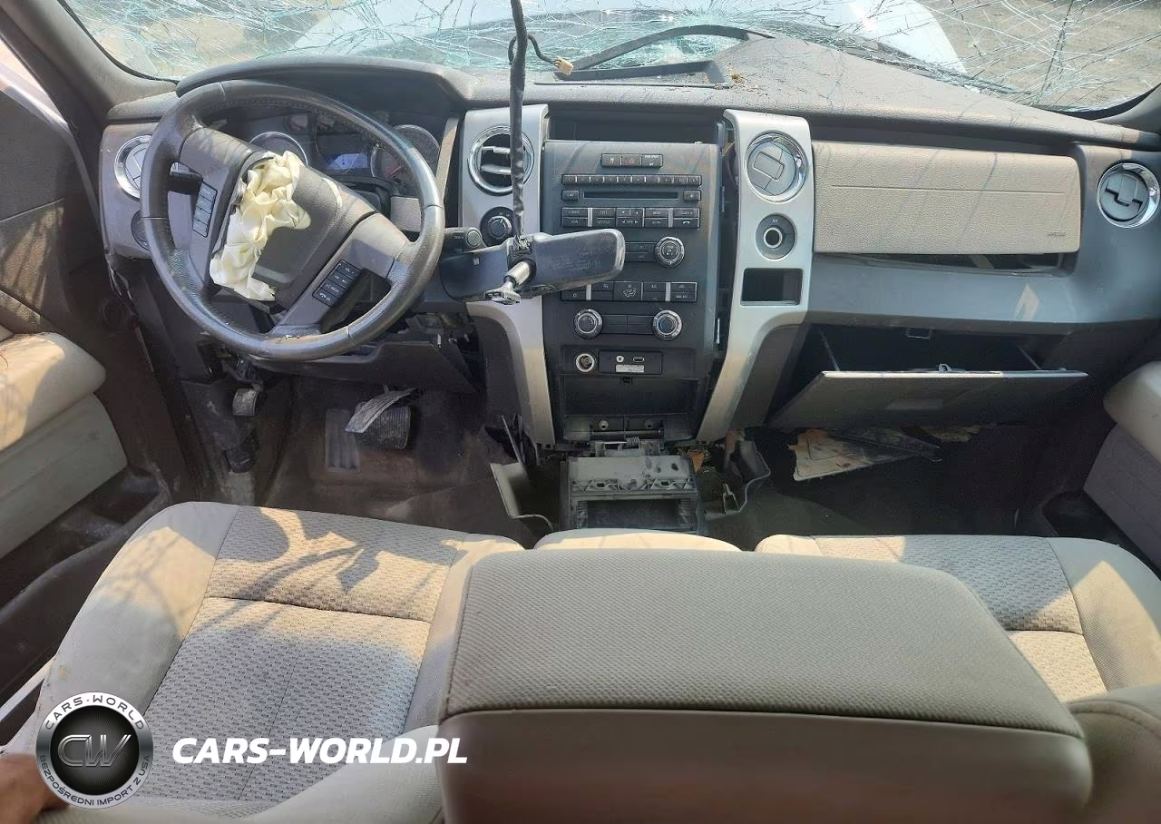 2009 Ford F150 Supercrew VIN:1FTPW14V49FA44702 - 8