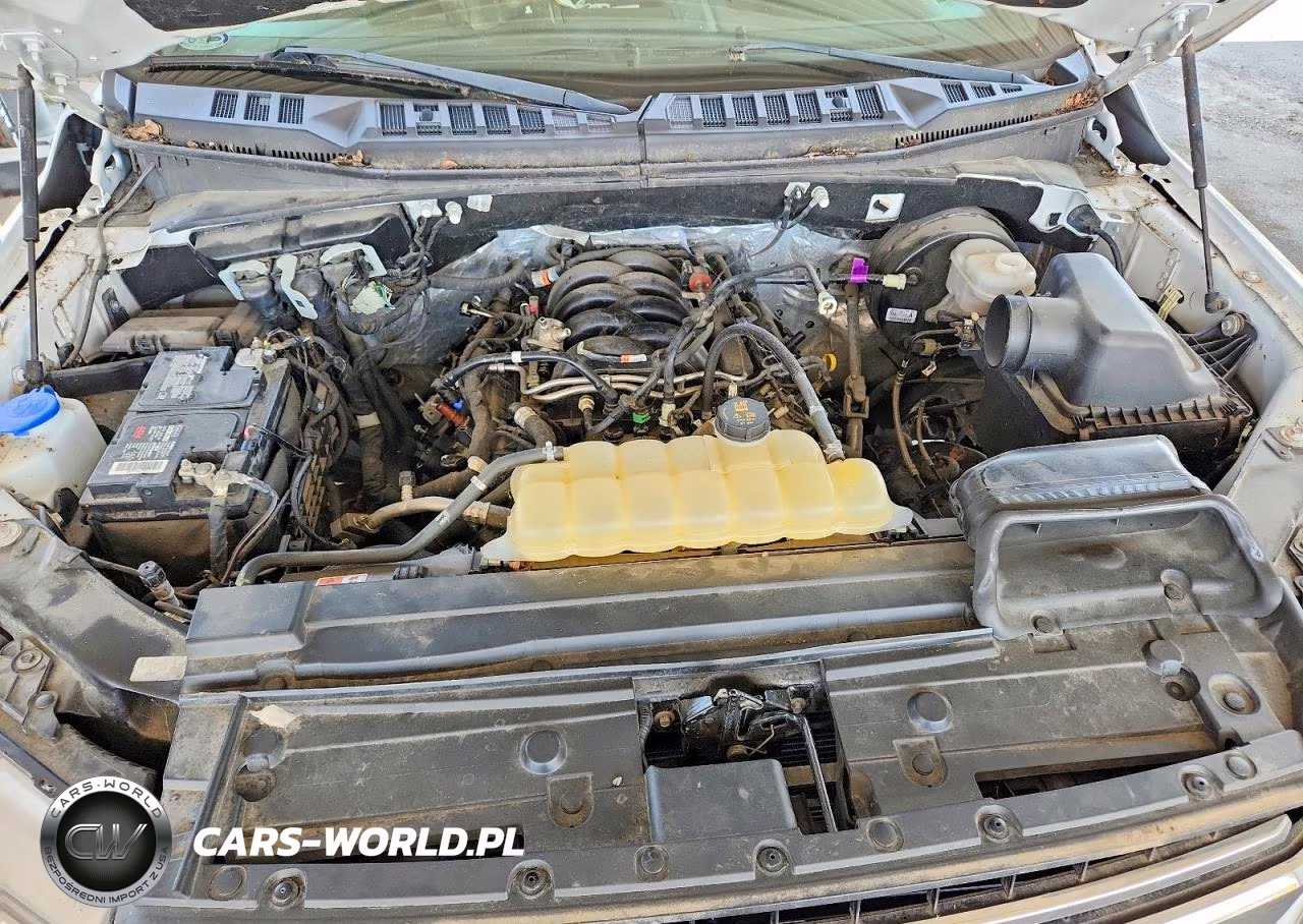2019 Ford F150 VIN:1FTNF1C59KKC25560 - 11