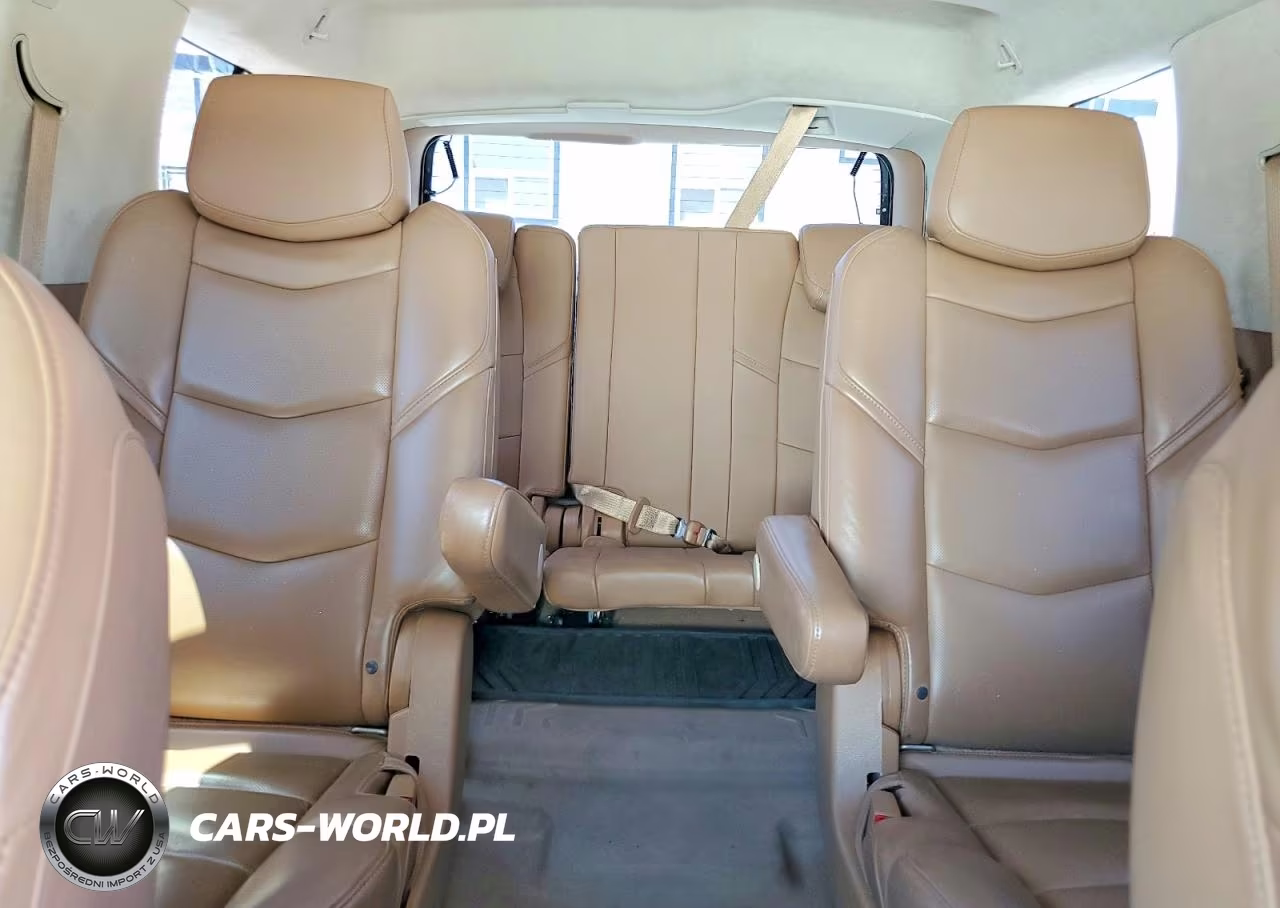 2015 Cadillac Escalade Platinum VIN:1GYS4PKJ9FR735750 - 10