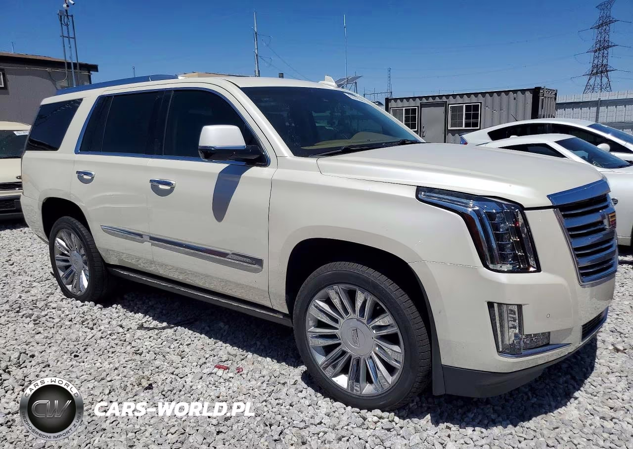 2015 Cadillac Escalade Platinum VIN:1GYS4PKJ9FR735750 - 4