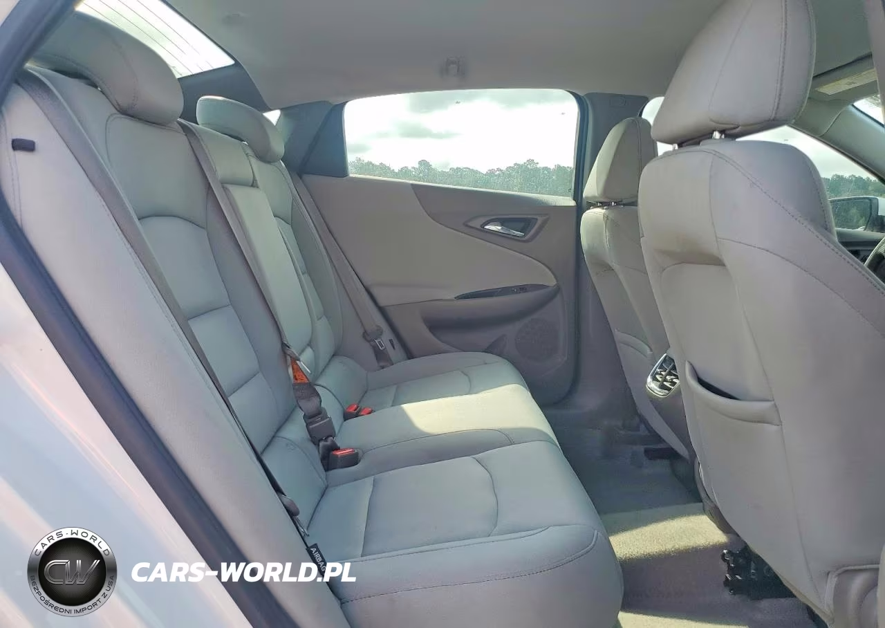 2019 Chevrolet Malibu Lt VIN:1G1ZD5ST5KF109594 - 10