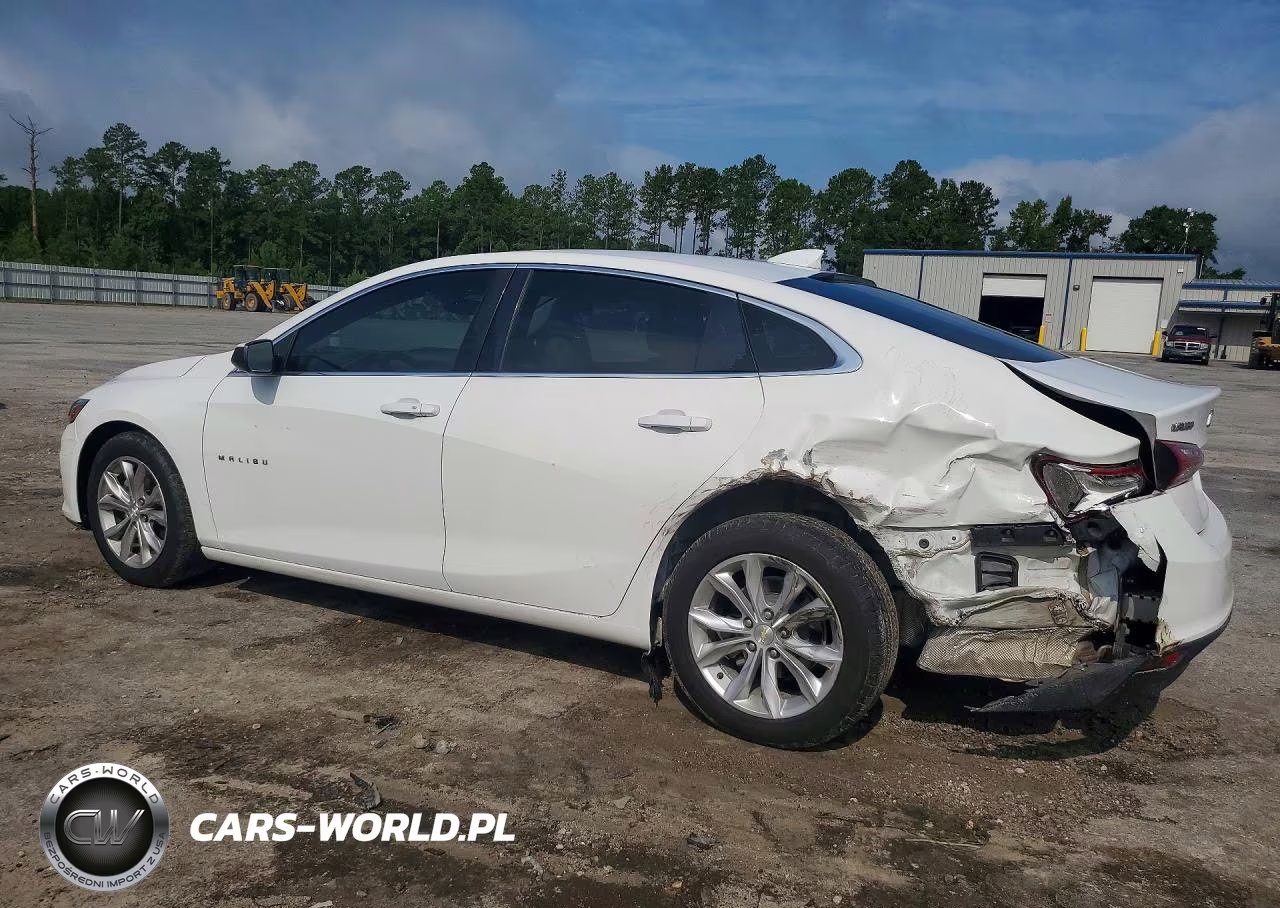 2019 Chevrolet Malibu Lt VIN:1G1ZD5ST5KF109594 - 2