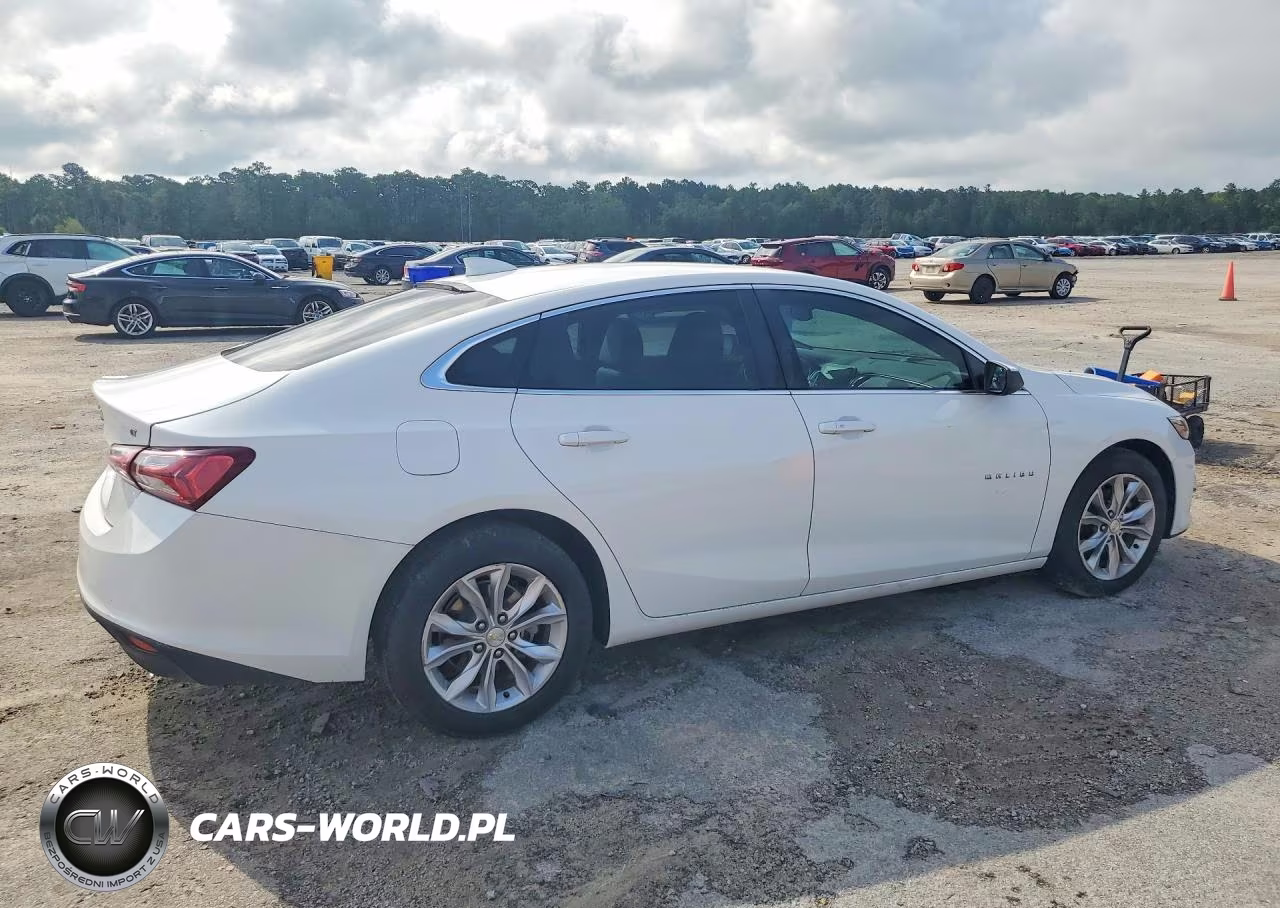 2019 Chevrolet Malibu Lt VIN:1G1ZD5ST5KF109594 - 3