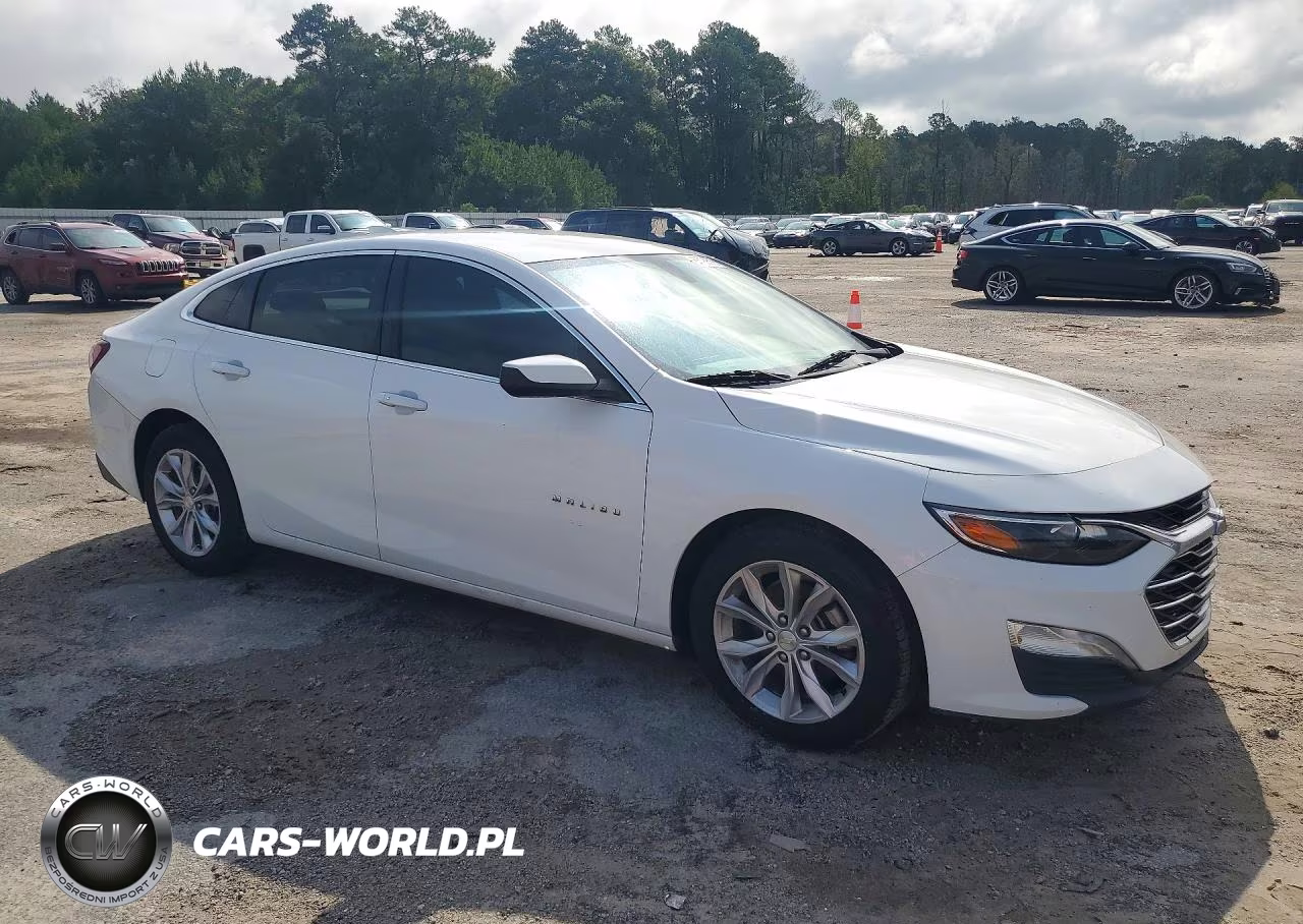 2019 Chevrolet Malibu Lt VIN:1G1ZD5ST5KF109594 - 4
