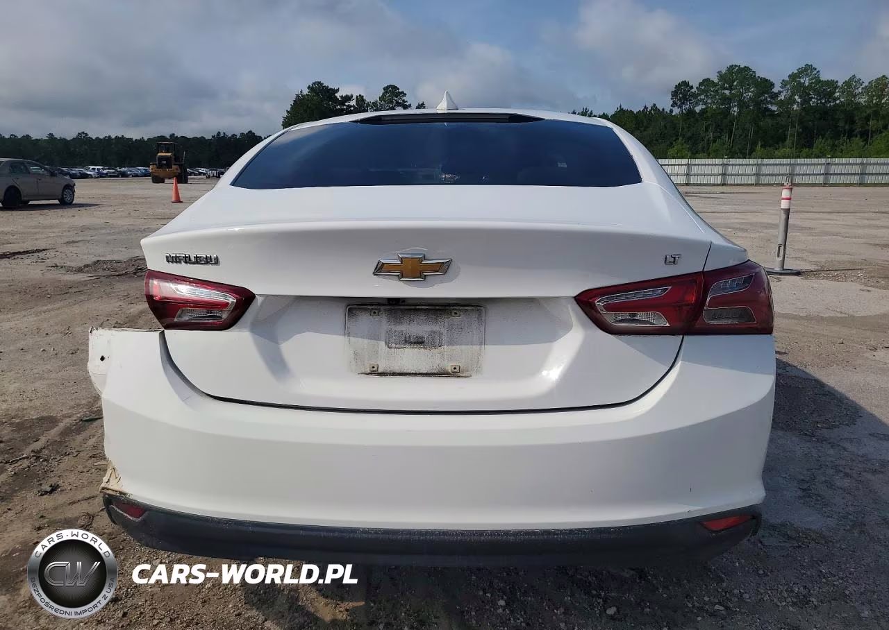 2019 Chevrolet Malibu Lt VIN:1G1ZD5ST5KF109594 - 6
