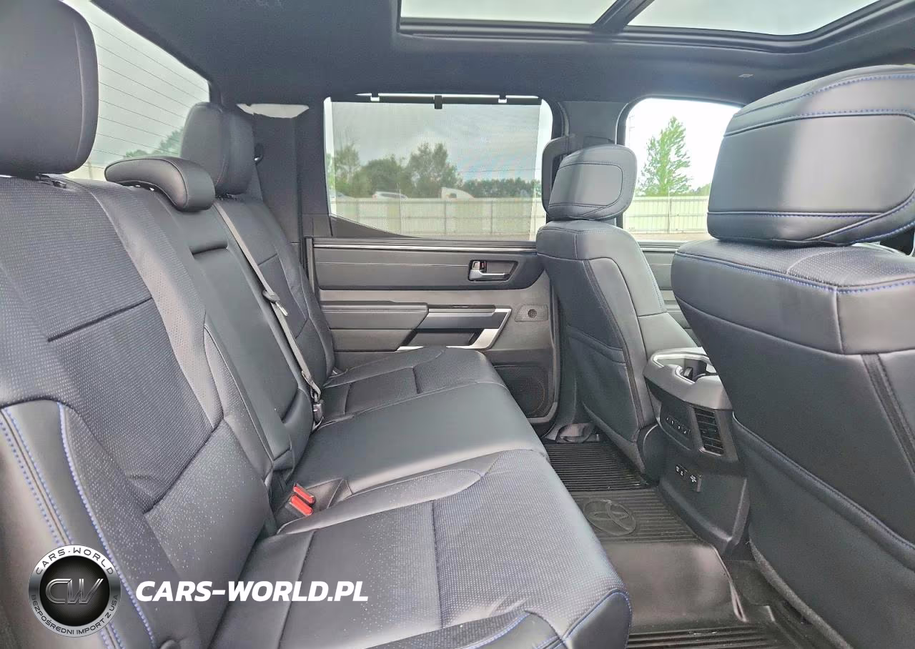 2024 Toyota Tundra Platinum VIN:5TFNA5DB5RX221237 - 10