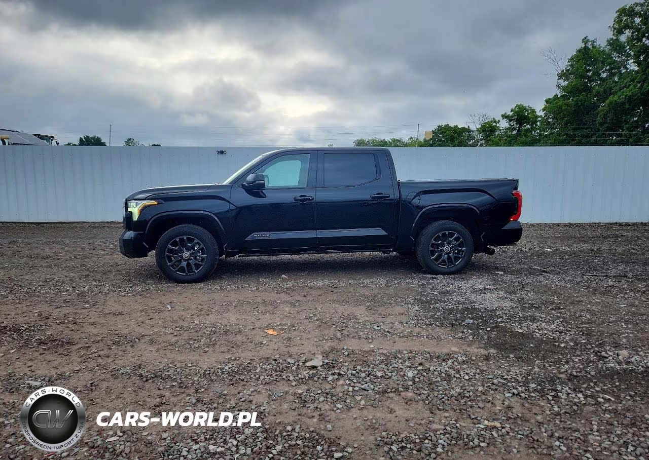 2024 Toyota Tundra Platinum VIN:5TFNA5DB5RX221237 - 12